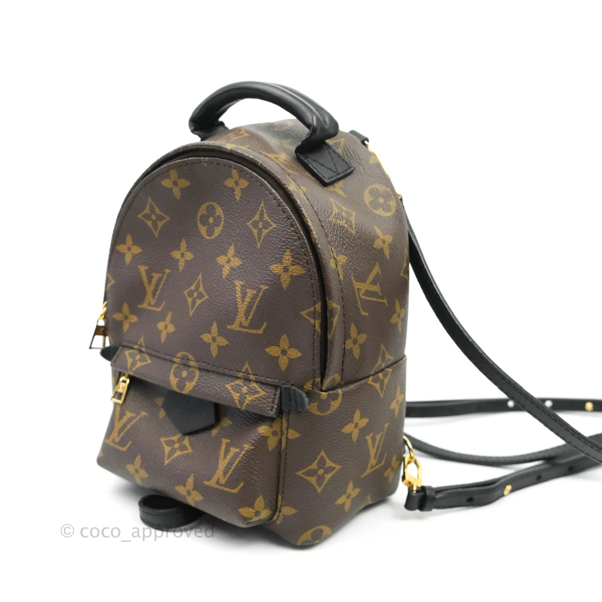 Louis Vuitton Monogram Mini Palm Springs Backpack