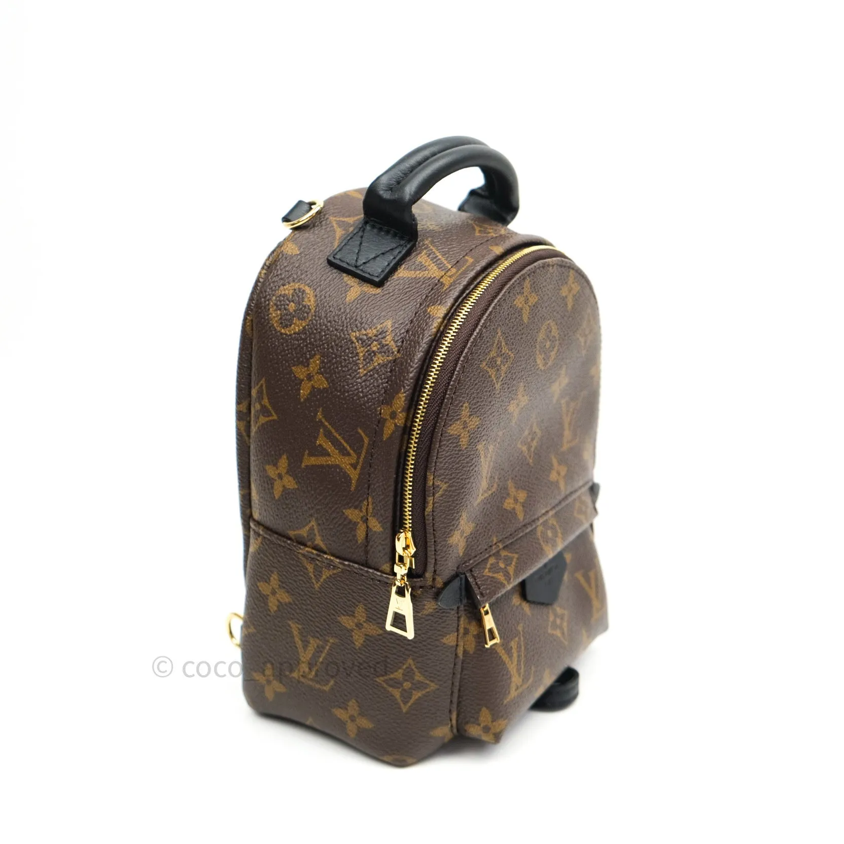Louis Vuitton Monogram Mini Palm Springs Backpack