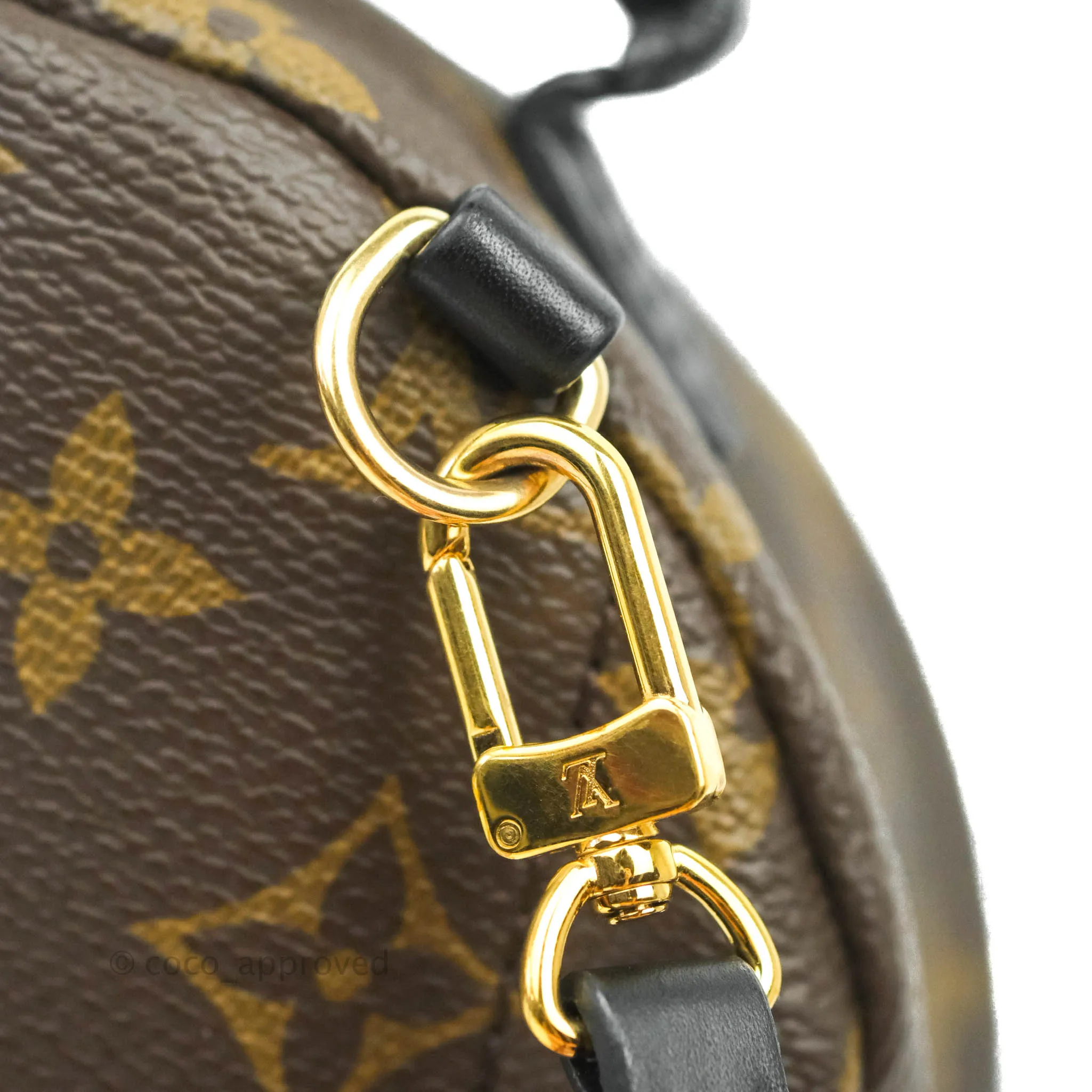 Louis Vuitton Monogram Mini Palm Springs Backpack