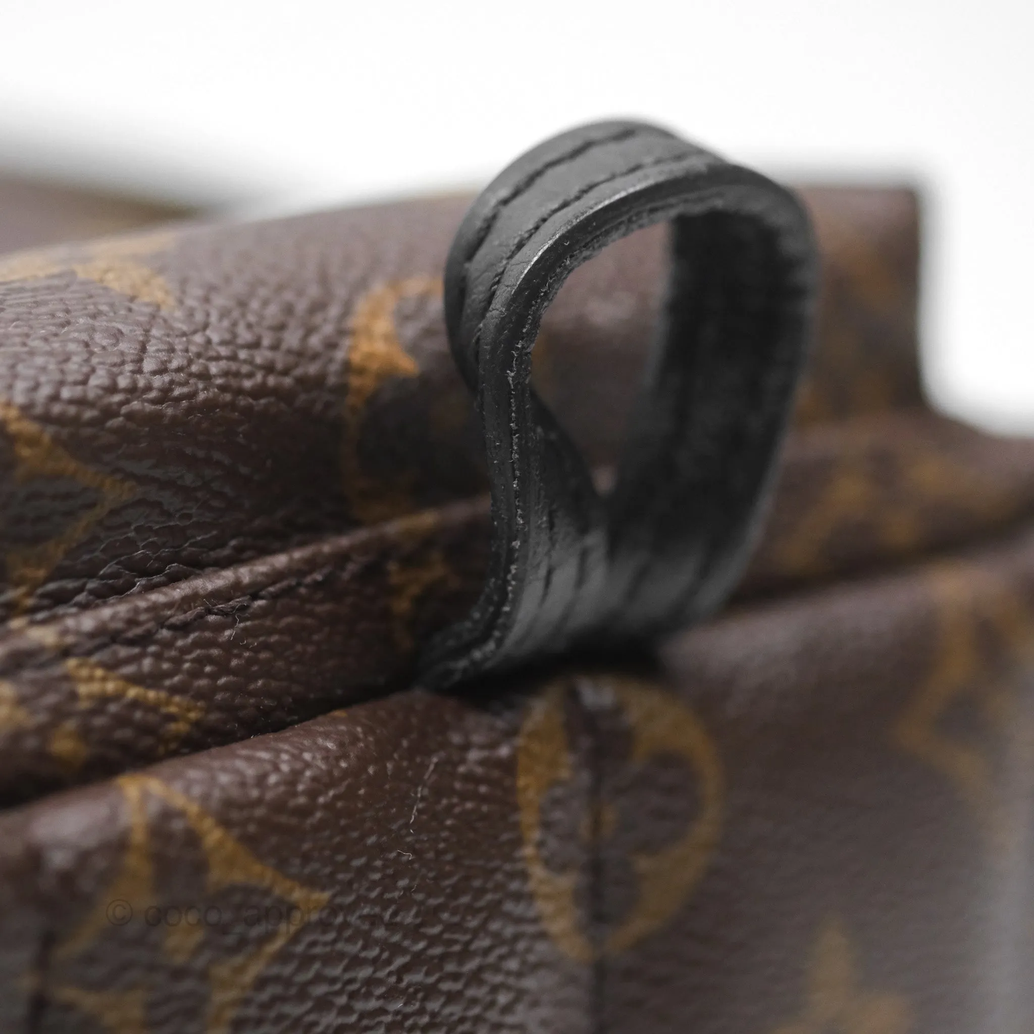 Louis Vuitton Monogram Mini Palm Springs Backpack