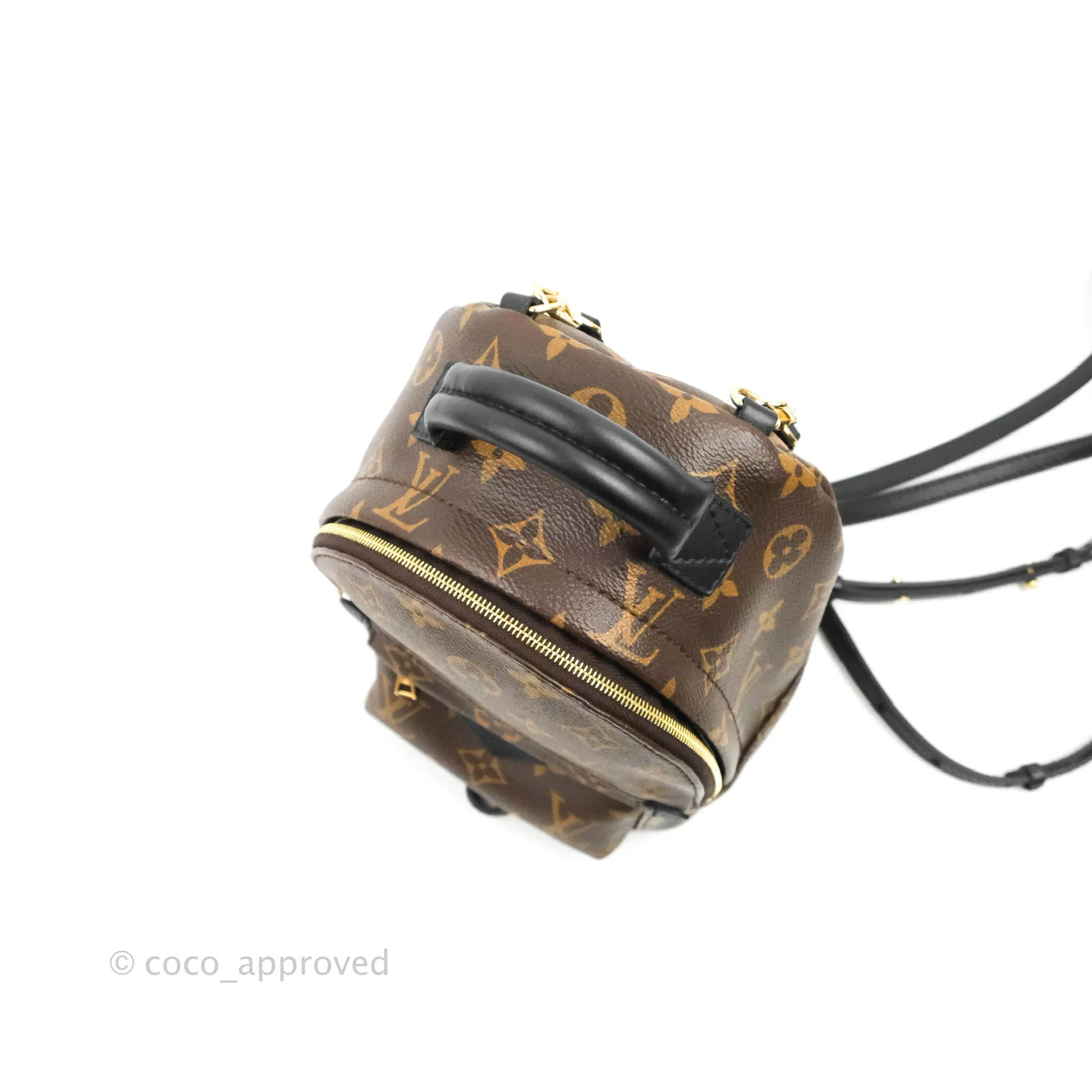Louis Vuitton Monogram Mini Palm Springs Backpack