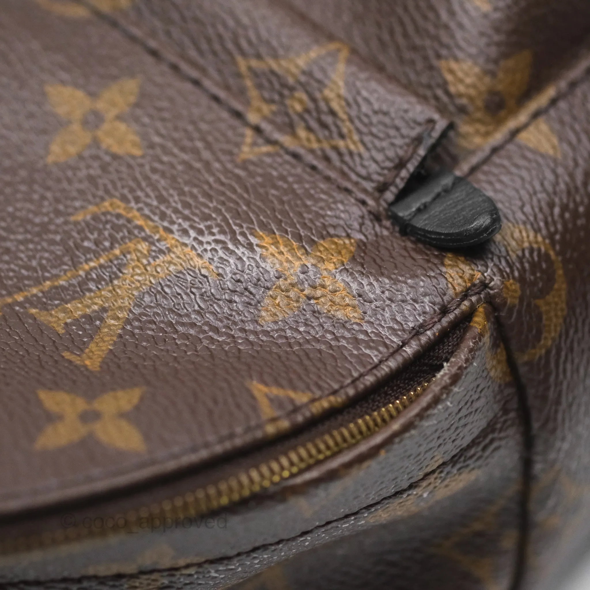 Louis Vuitton Monogram Mini Palm Springs Backpack