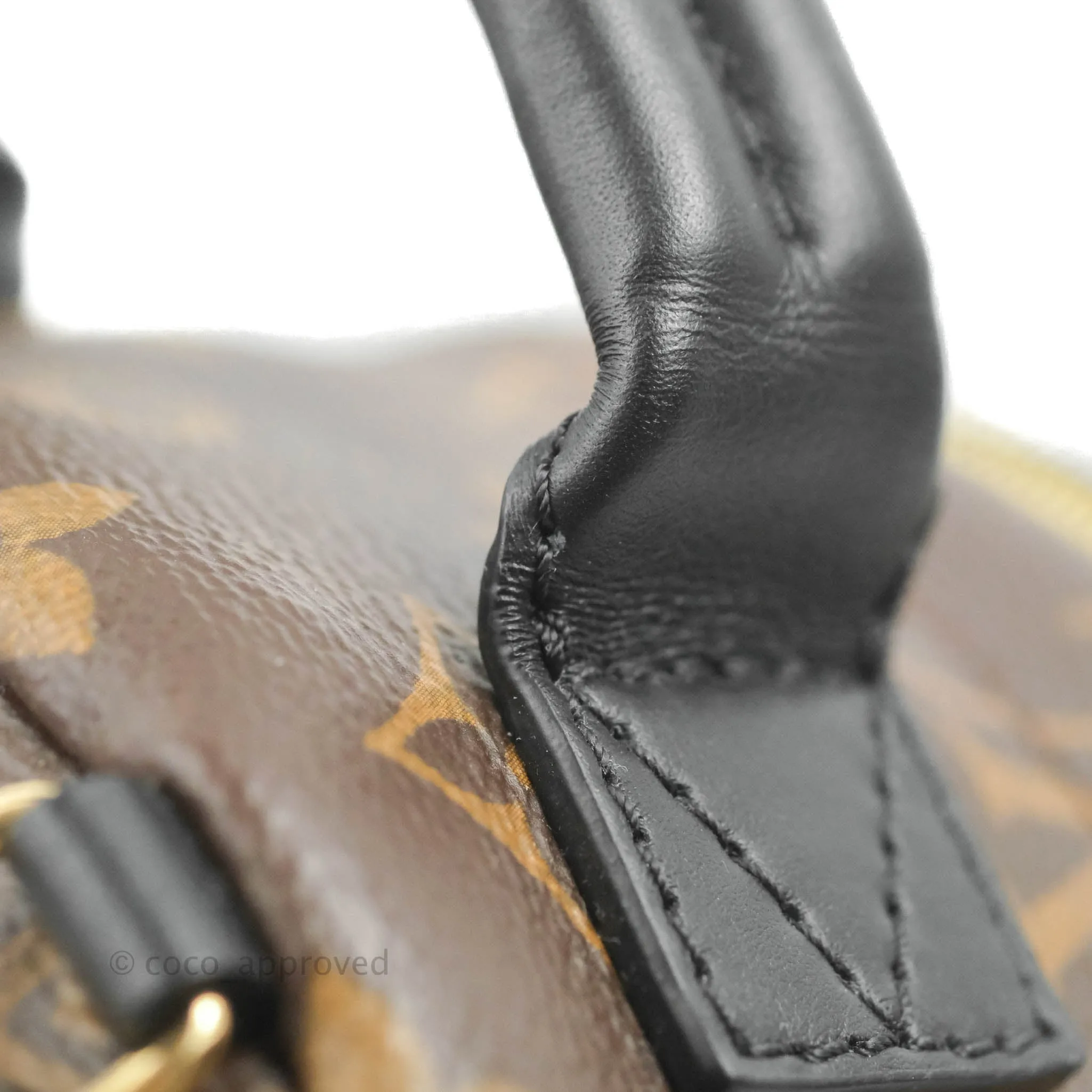 Louis Vuitton Monogram Mini Palm Springs Backpack