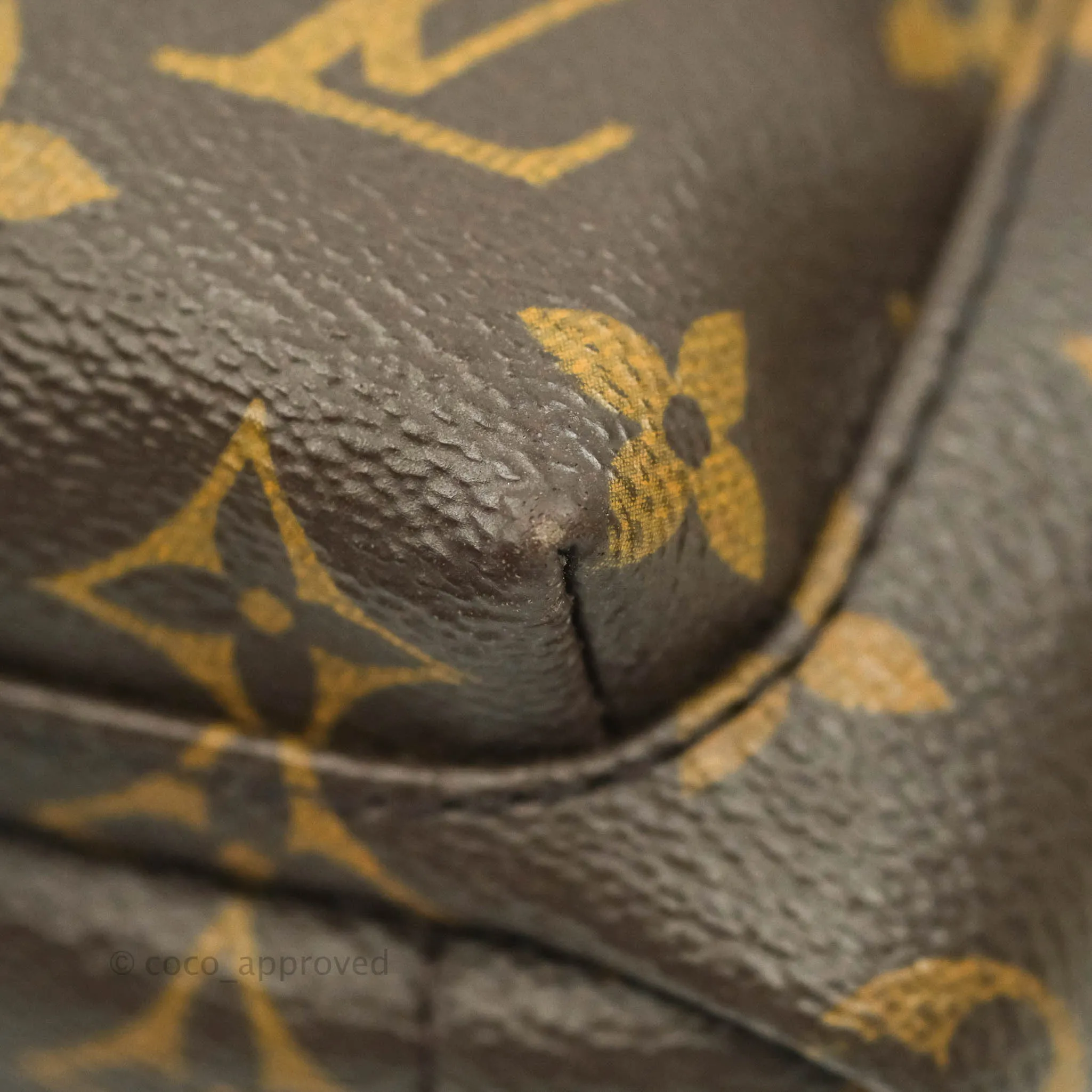Louis Vuitton Monogram Mini Palm Springs Backpack