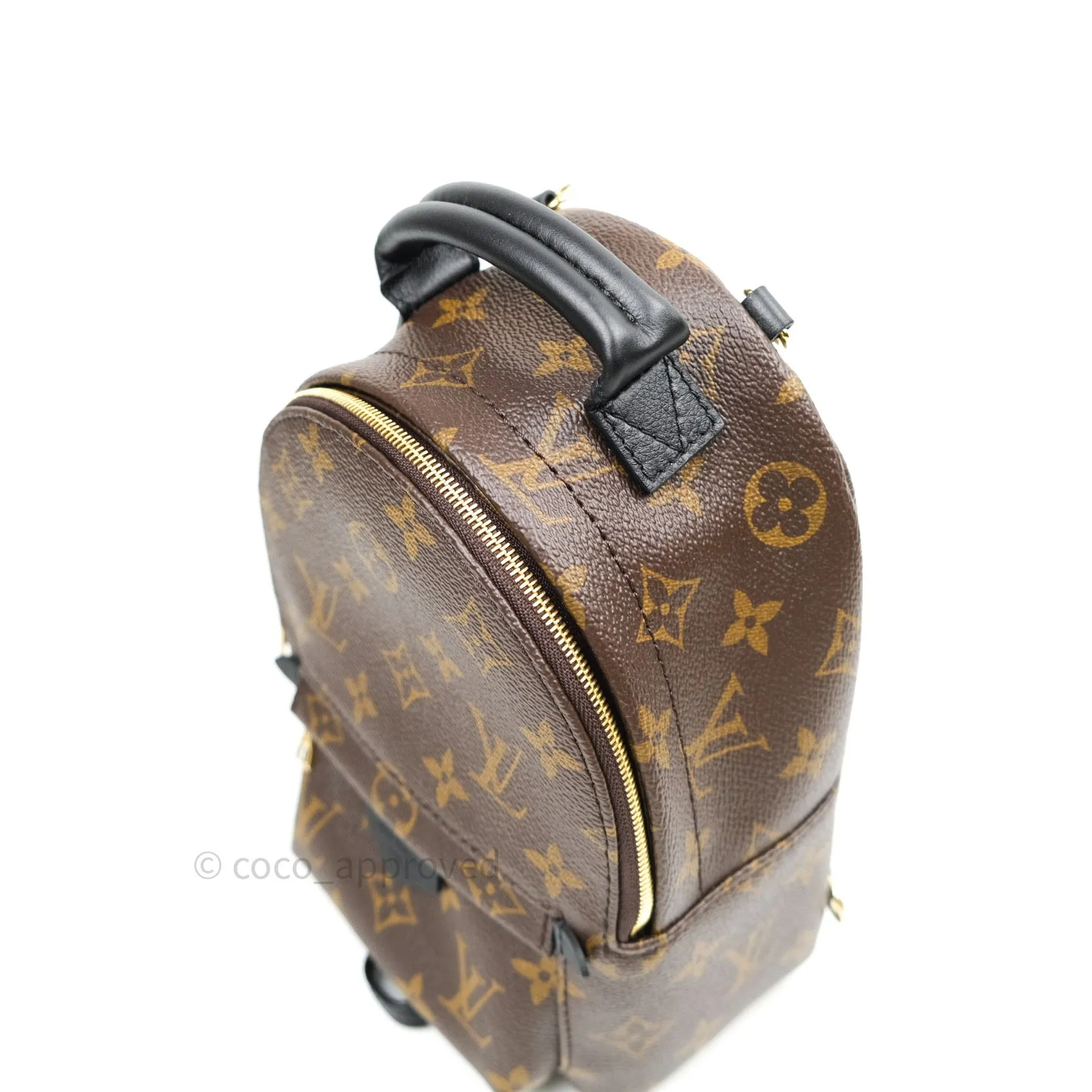Louis Vuitton Monogram Mini Palm Springs Backpack