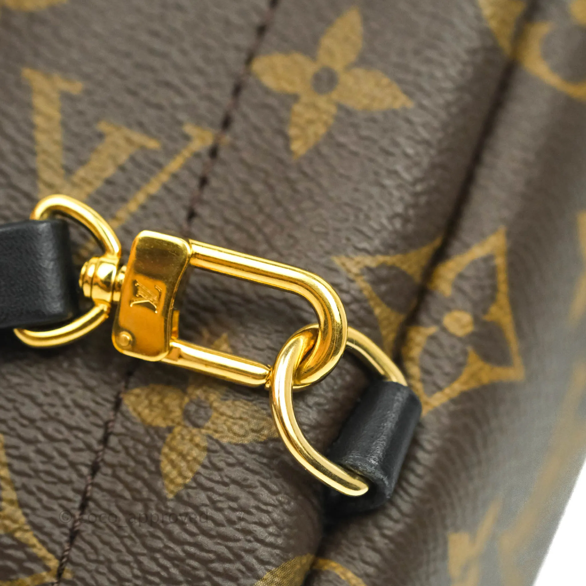 Louis Vuitton Monogram Mini Palm Springs Backpack