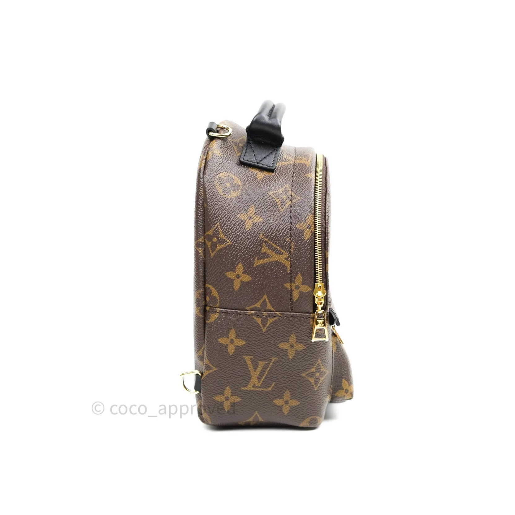 Louis Vuitton Monogram Mini Palm Springs Backpack
