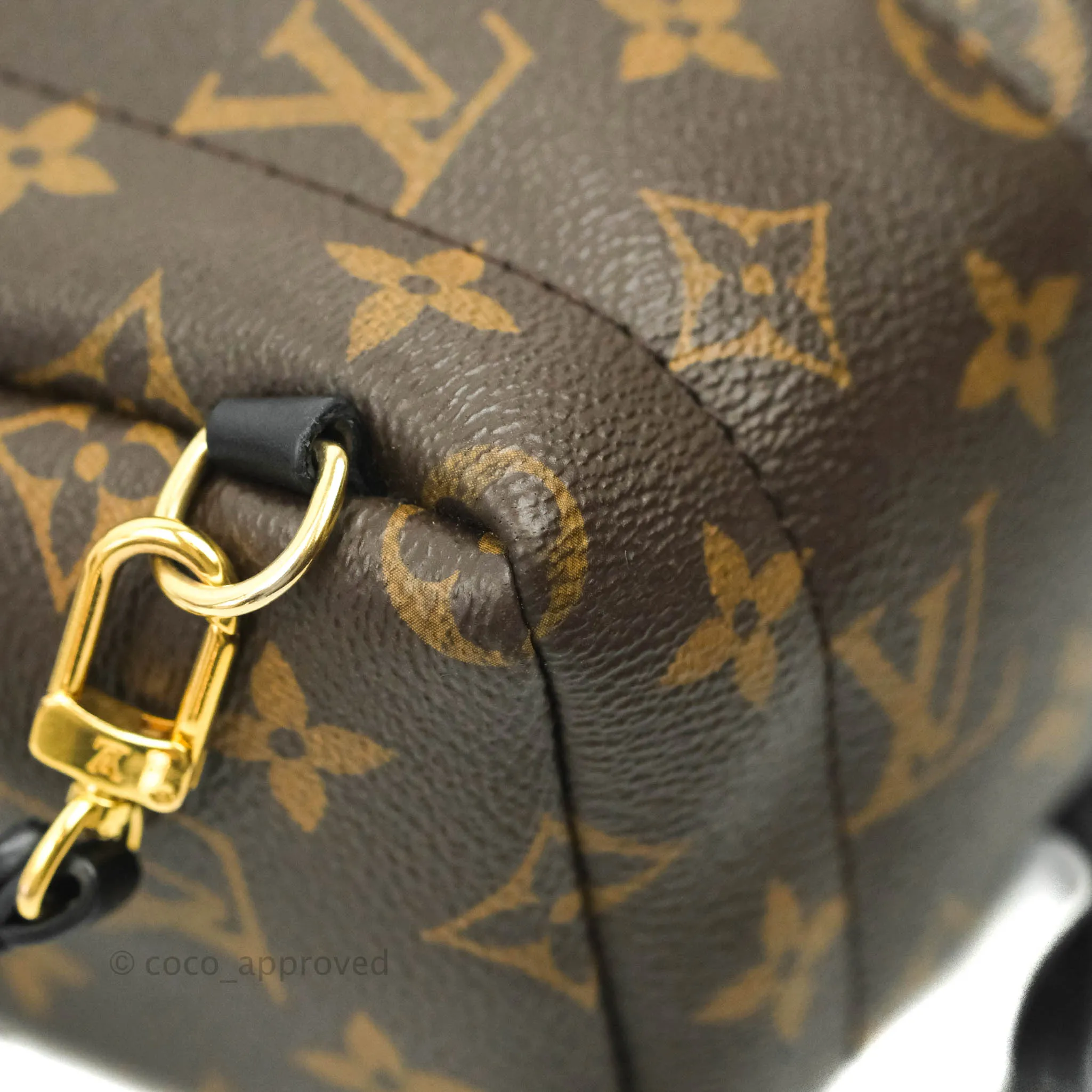 Louis Vuitton Monogram Mini Palm Springs Backpack