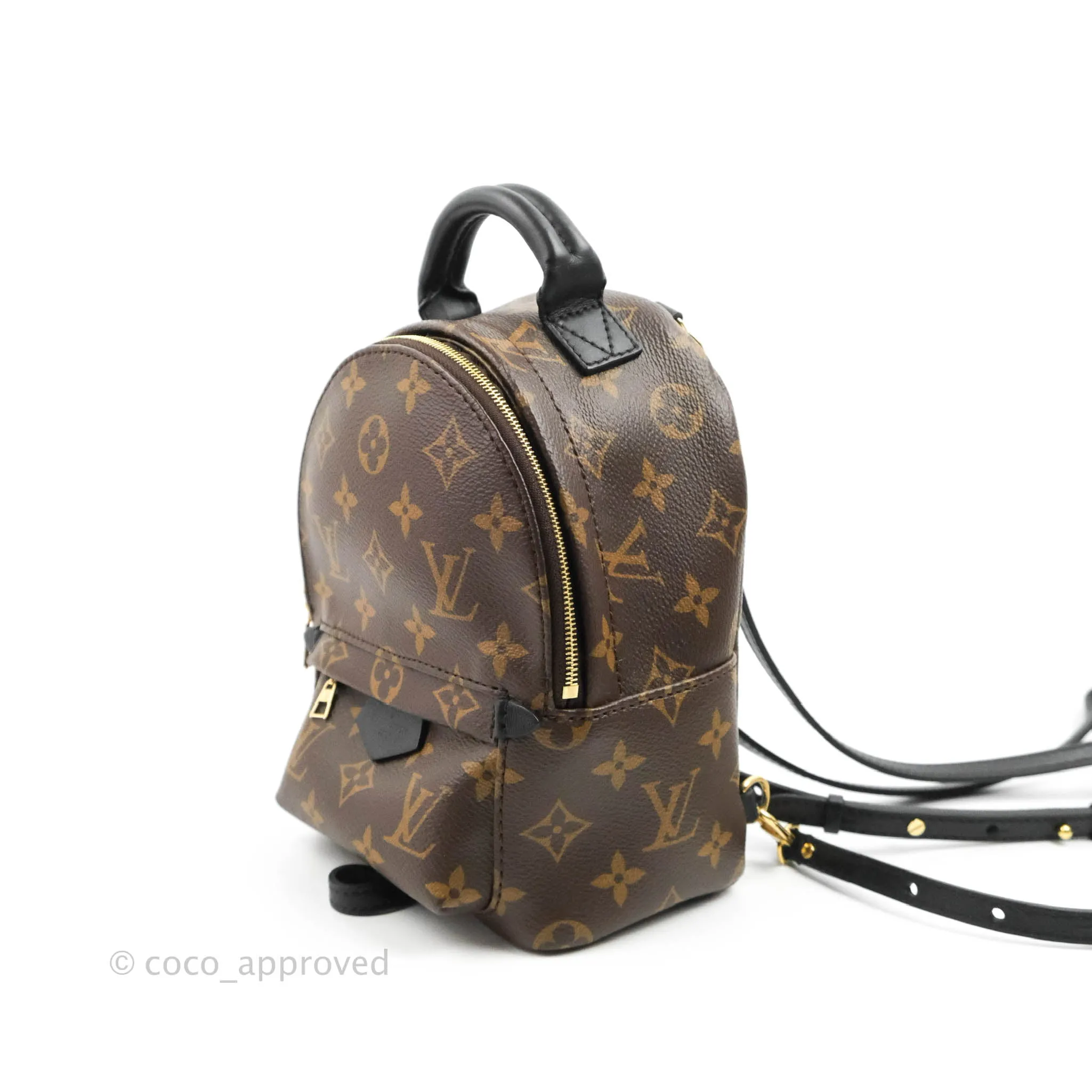 Louis Vuitton Monogram Mini Palm Springs Backpack