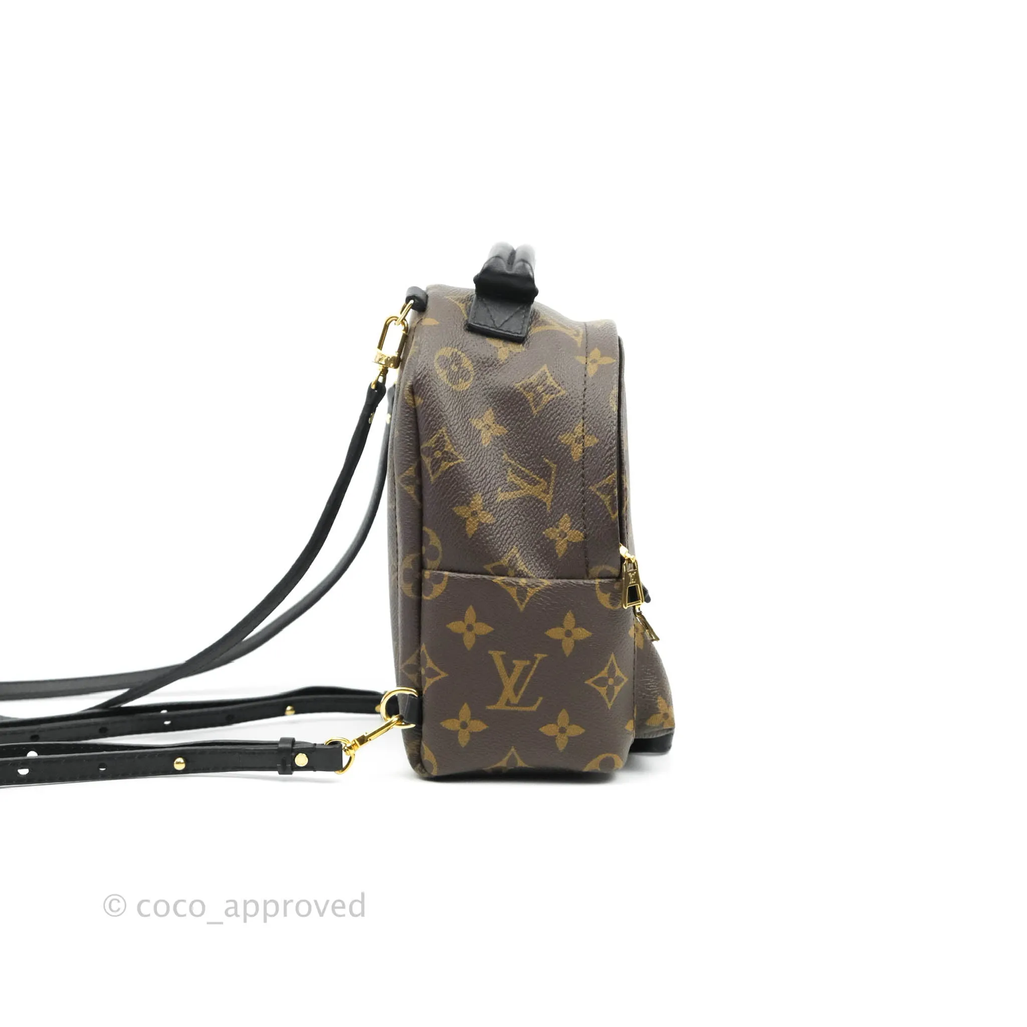 Louis Vuitton Monogram Mini Palm Springs Backpack