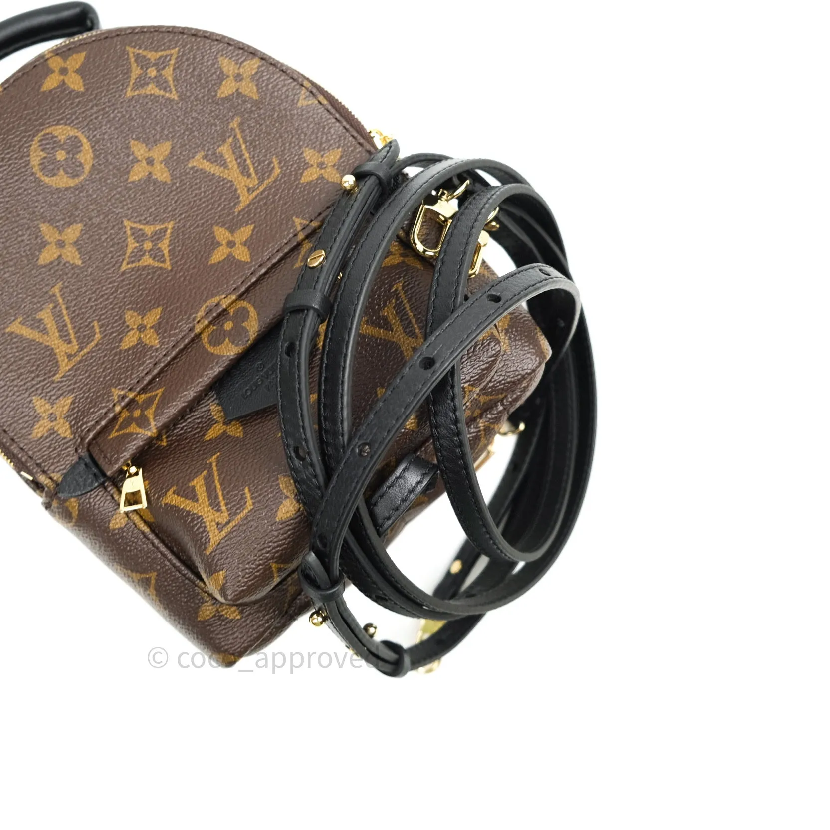 Louis Vuitton Monogram Mini Palm Springs Backpack