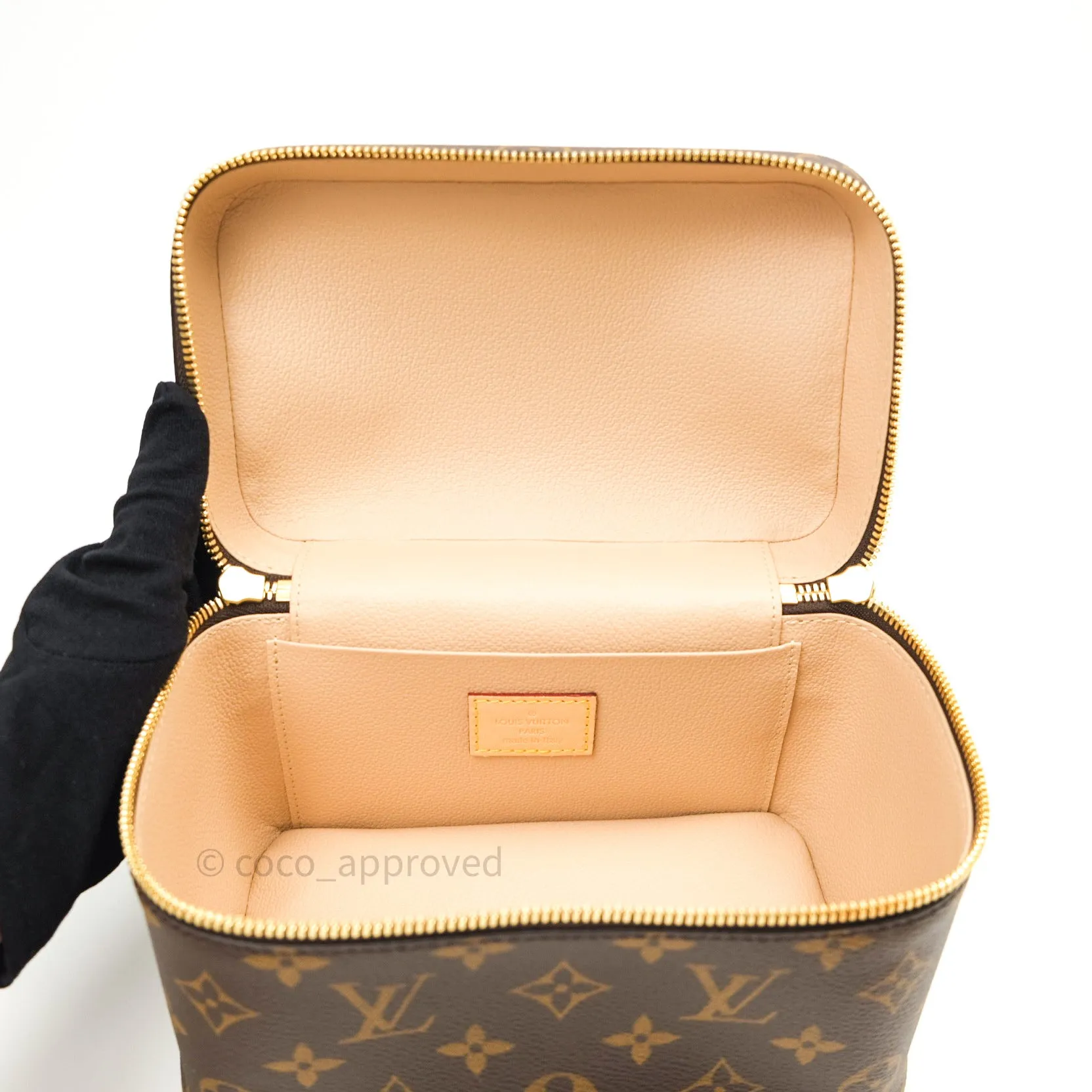 Louis Vuitton Monogram Nice Mini
