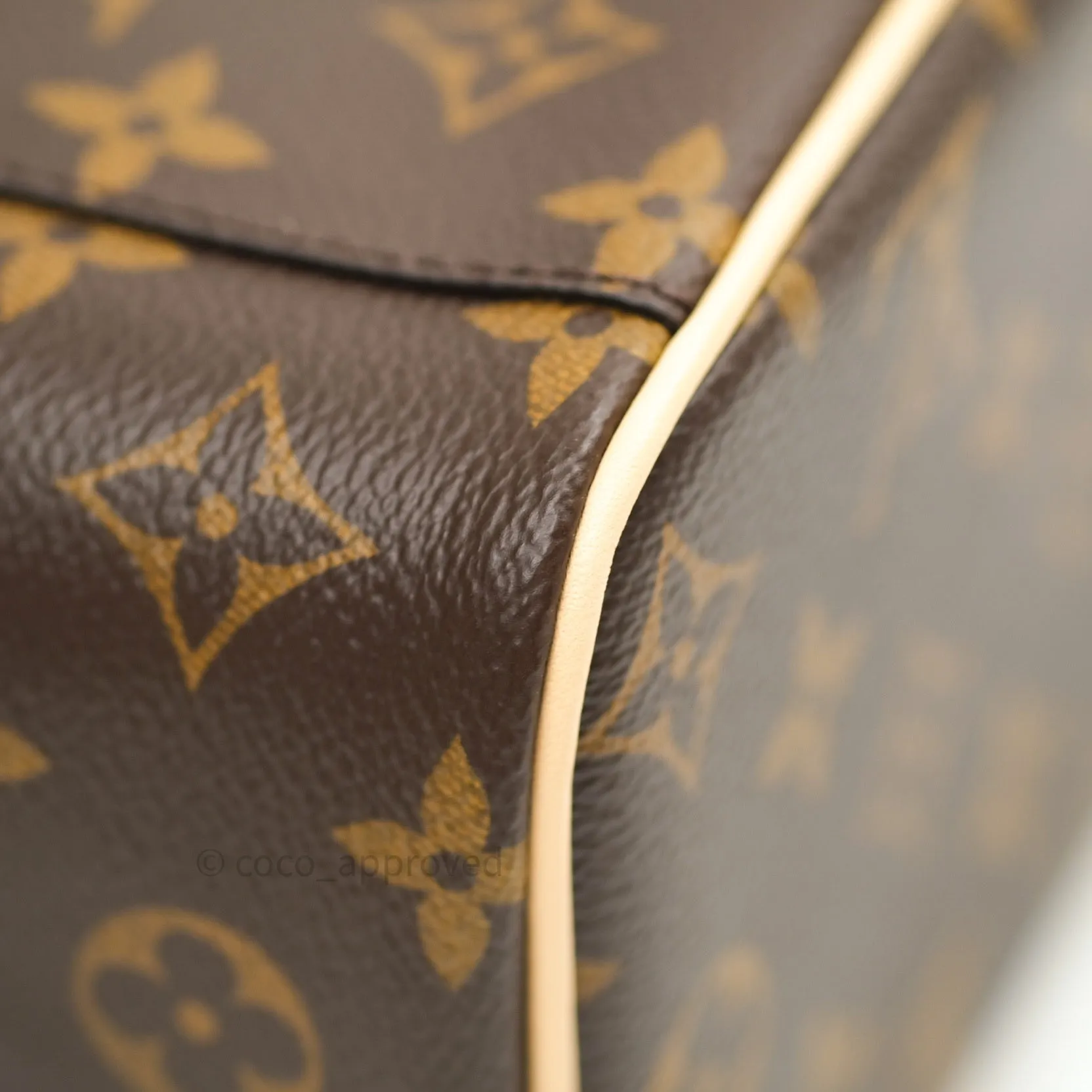 Louis Vuitton Monogram Nice Mini
