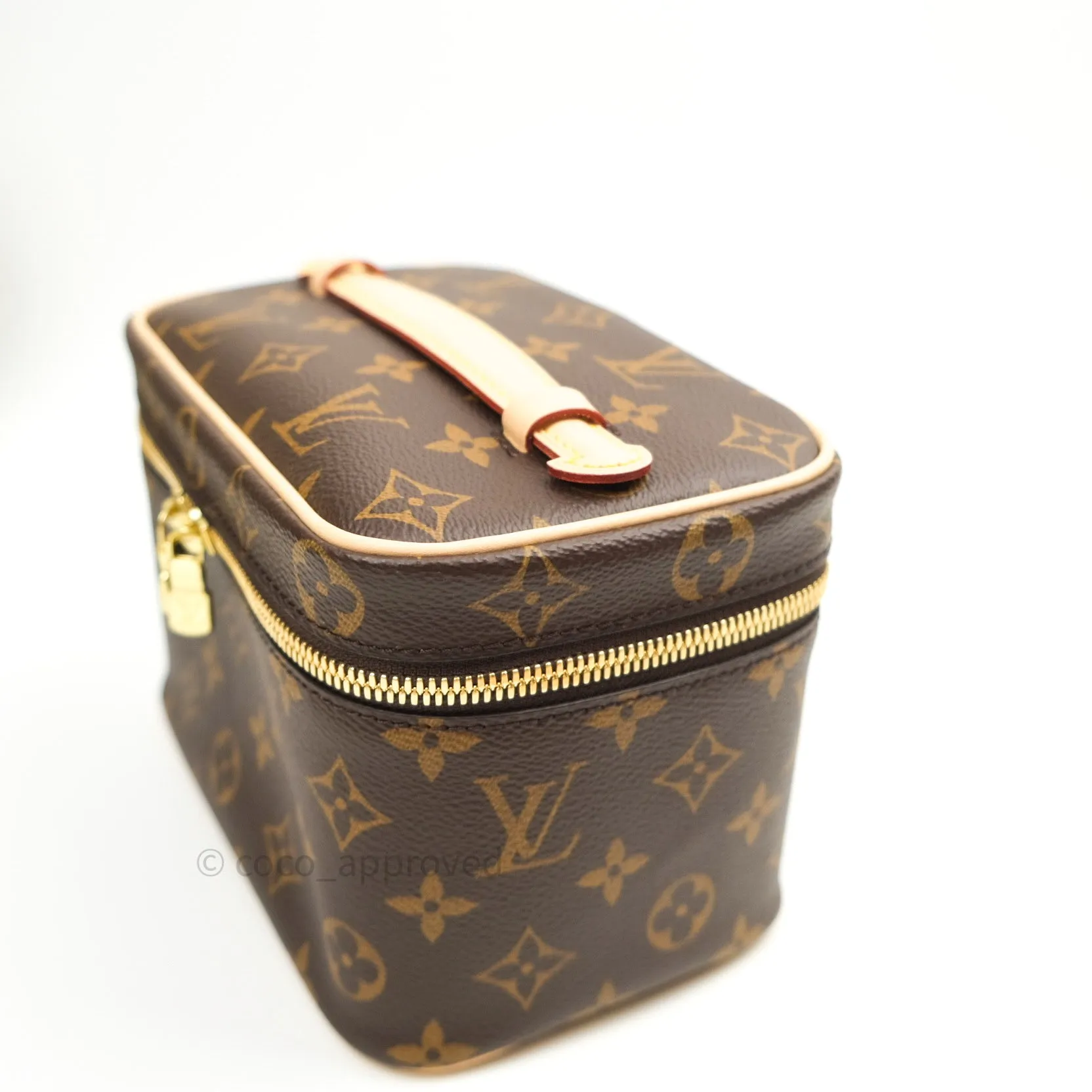 Louis Vuitton Monogram Nice Mini