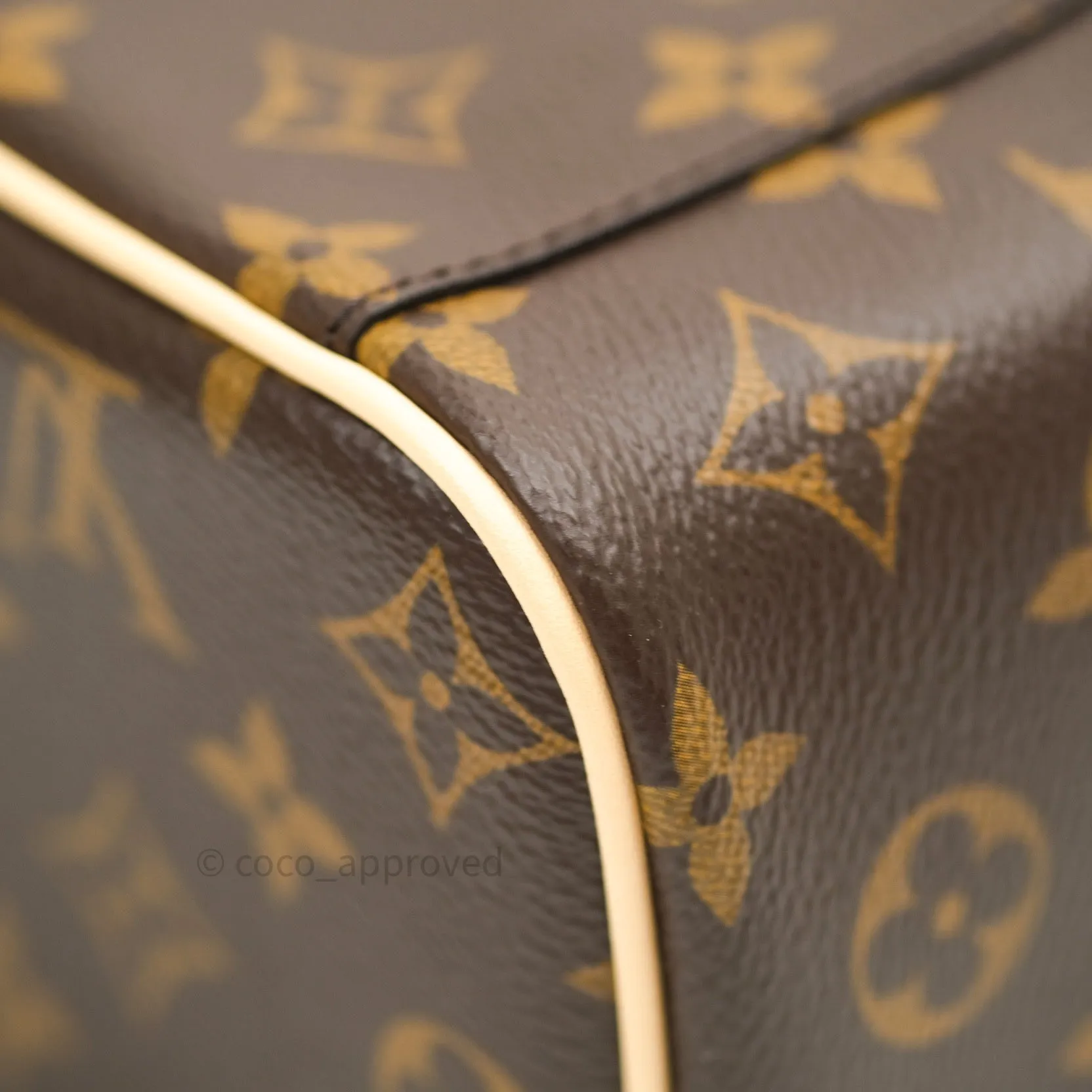 Louis Vuitton Monogram Nice Mini