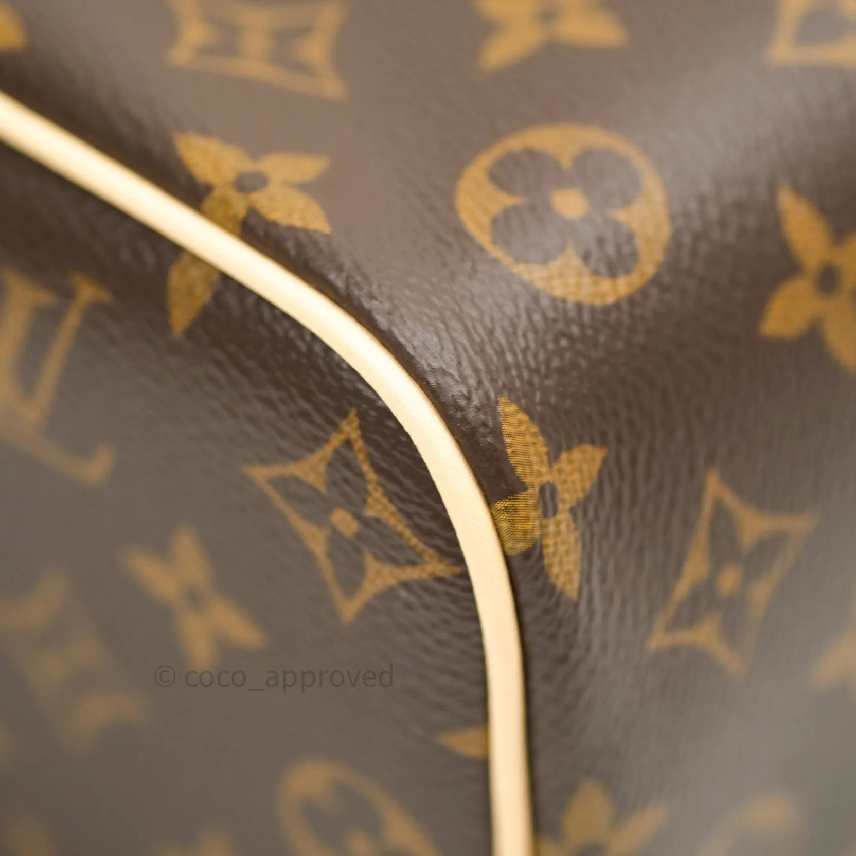 Louis Vuitton Monogram Nice Mini