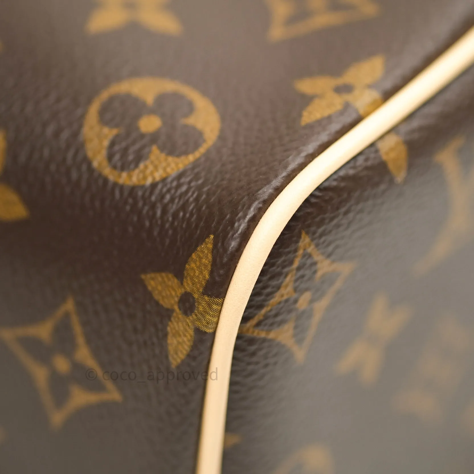 Louis Vuitton Monogram Nice Mini