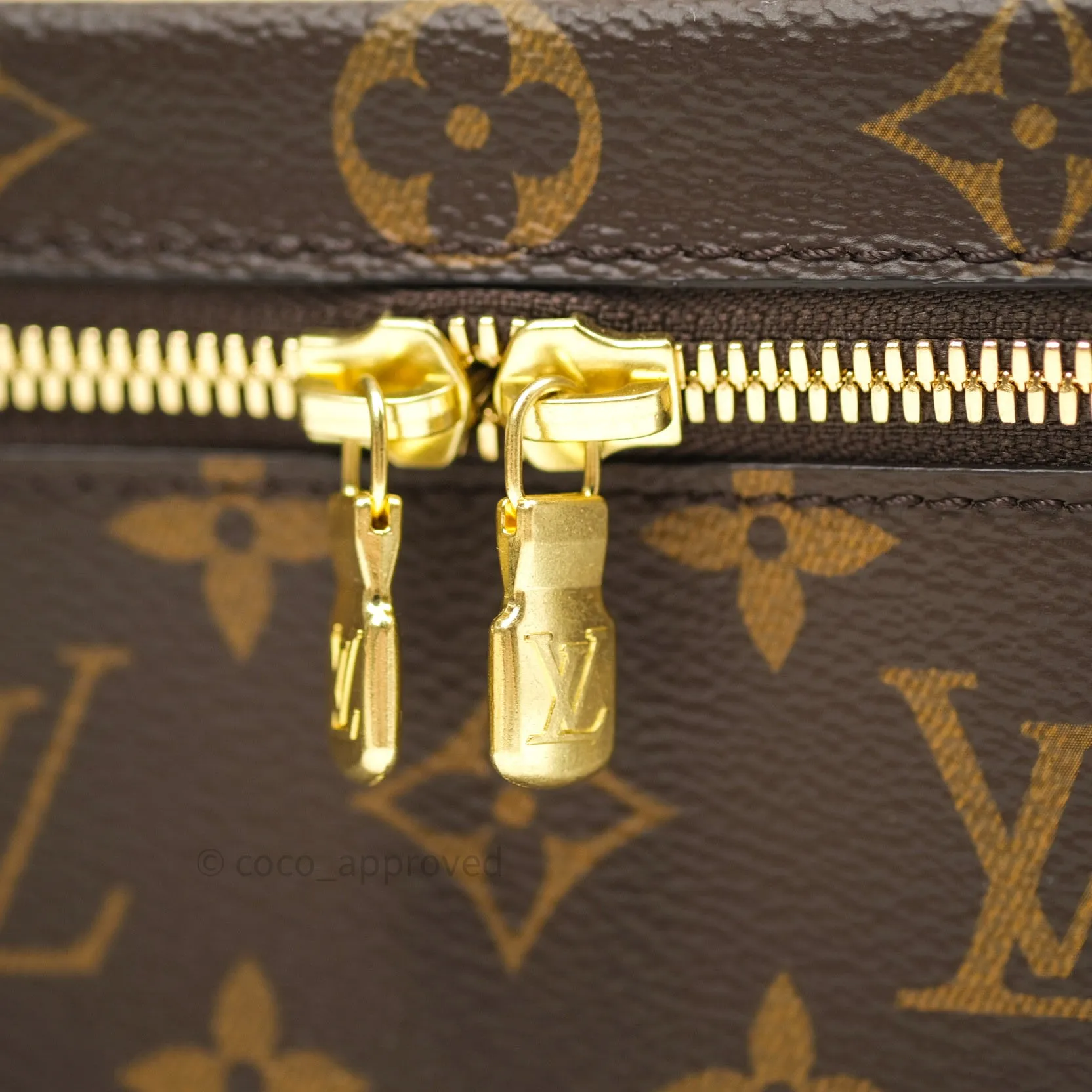 Louis Vuitton Monogram Nice Mini