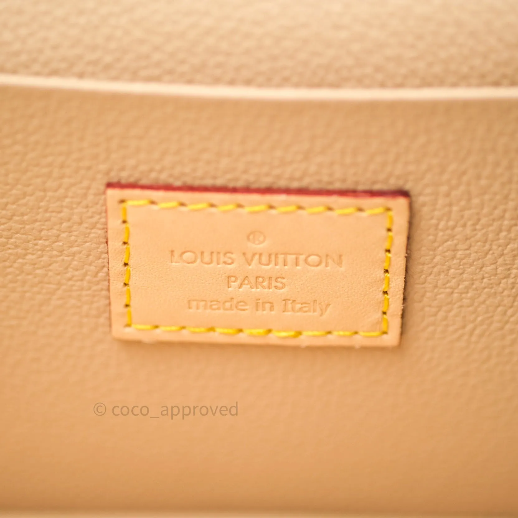 Louis Vuitton Monogram Nice Mini
