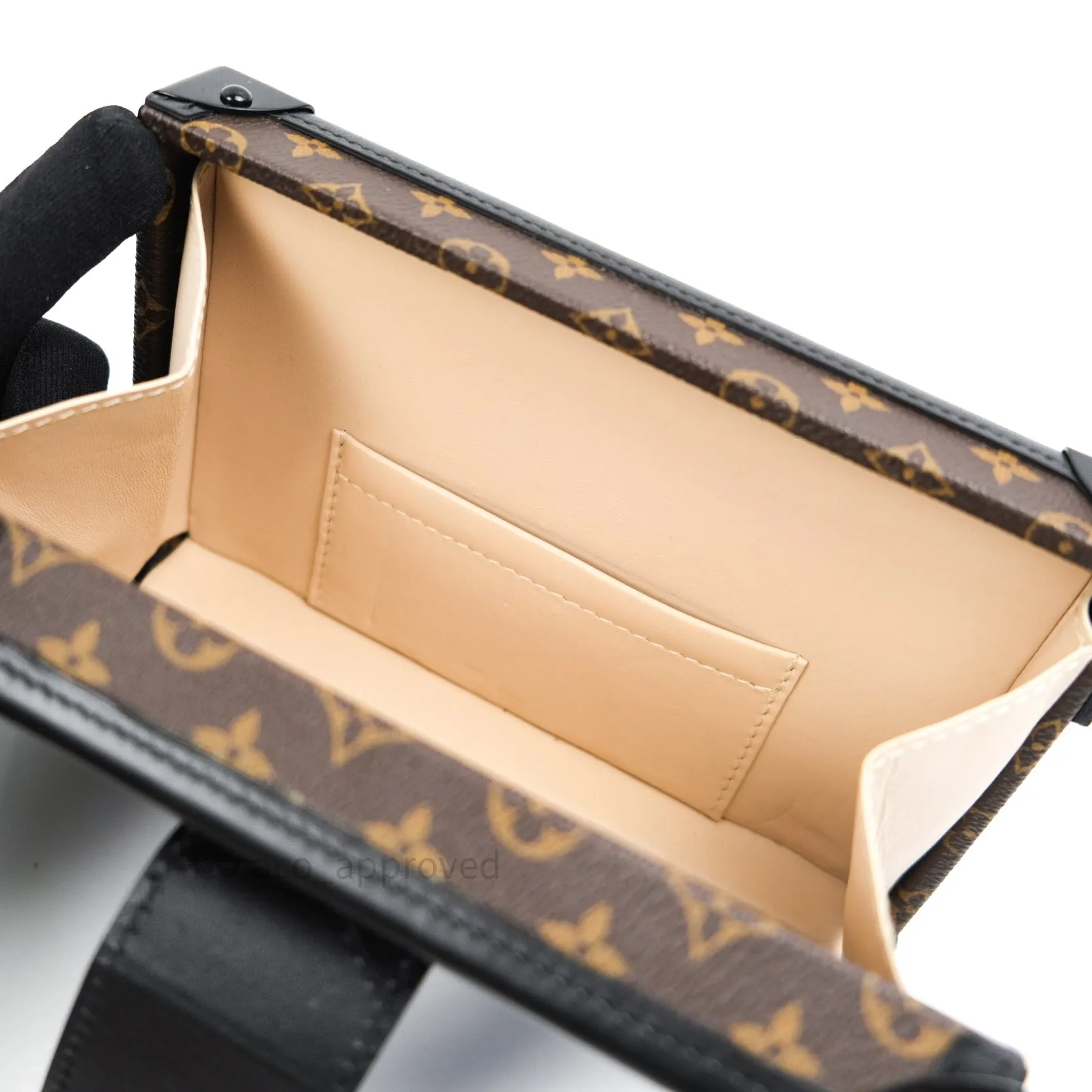 Louis Vuitton Monogram Petite Malle