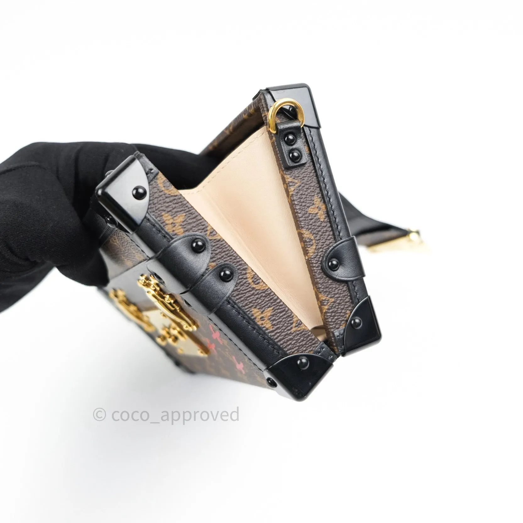Louis Vuitton Monogram Petite Malle