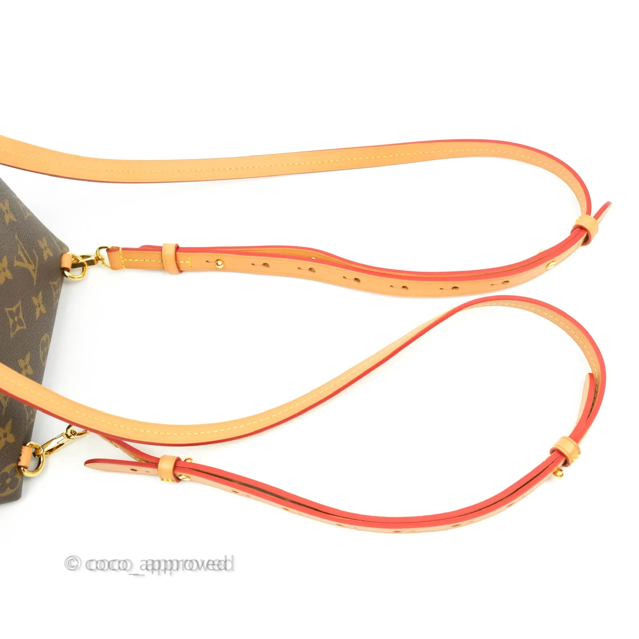 Louis Vuitton Montsouris BB Backpack Monogram Canvas