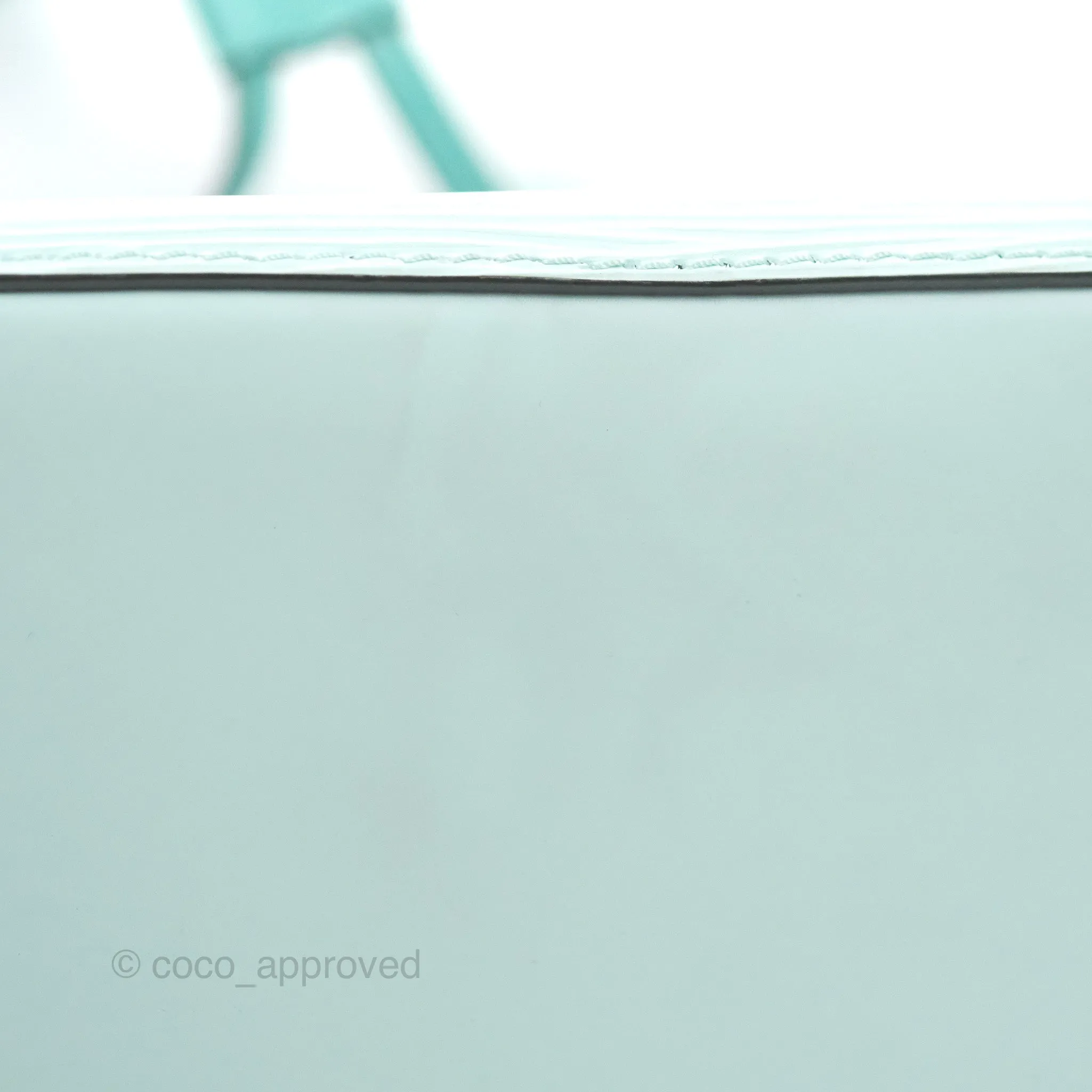 Louis Vuitton Neonoe BB Epi Seaside Green