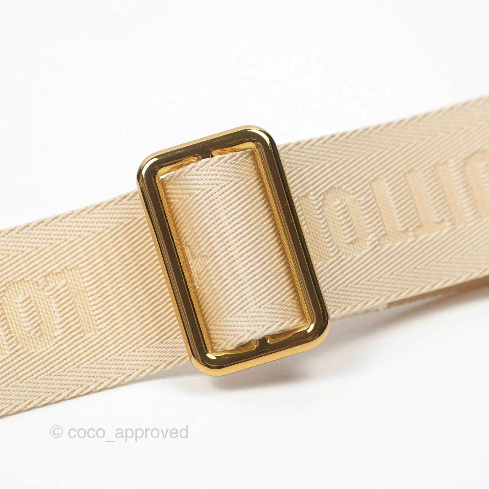 Louis Vuitton OnTheGo PM in Monogram Reverse Canvas