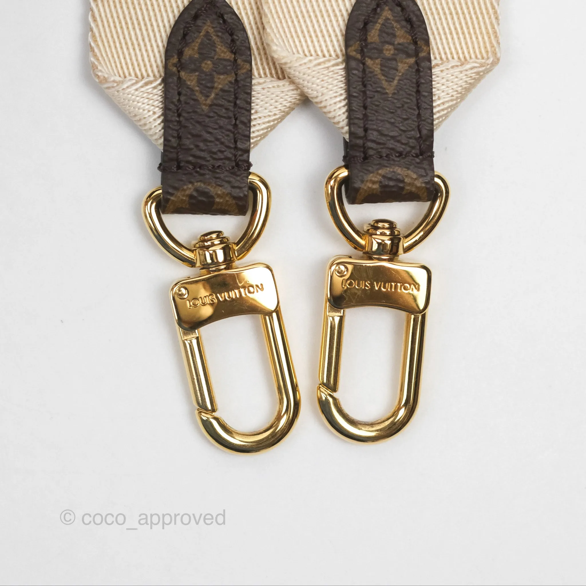 Louis Vuitton OnTheGo PM in Monogram Reverse Canvas