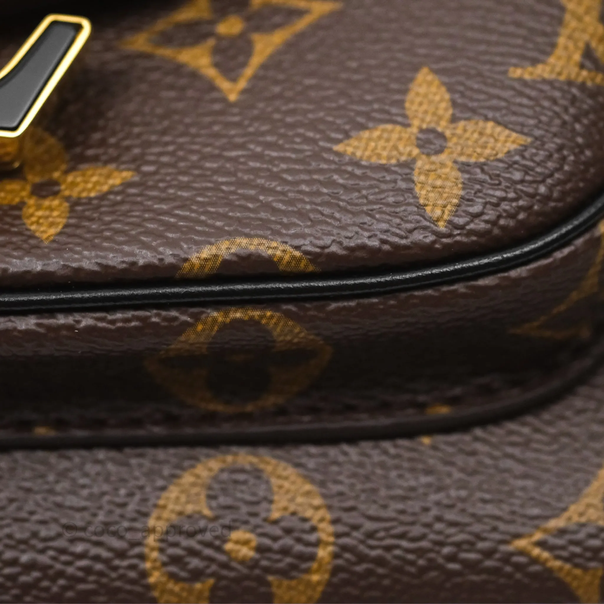 Louis Vuitton Passy Coated Canvas Monogram Gold Hardware
