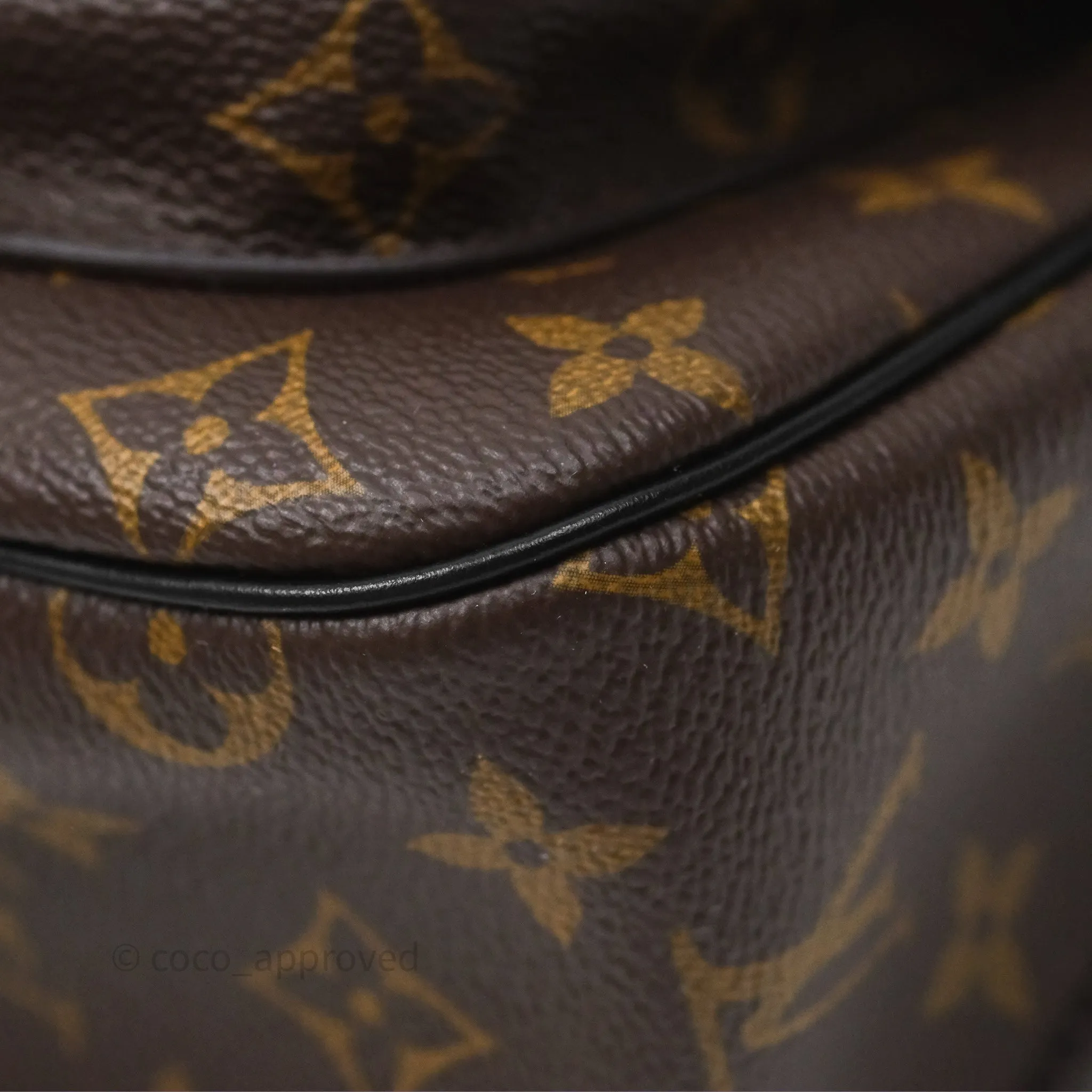 Louis Vuitton Passy Coated Canvas Monogram Gold Hardware