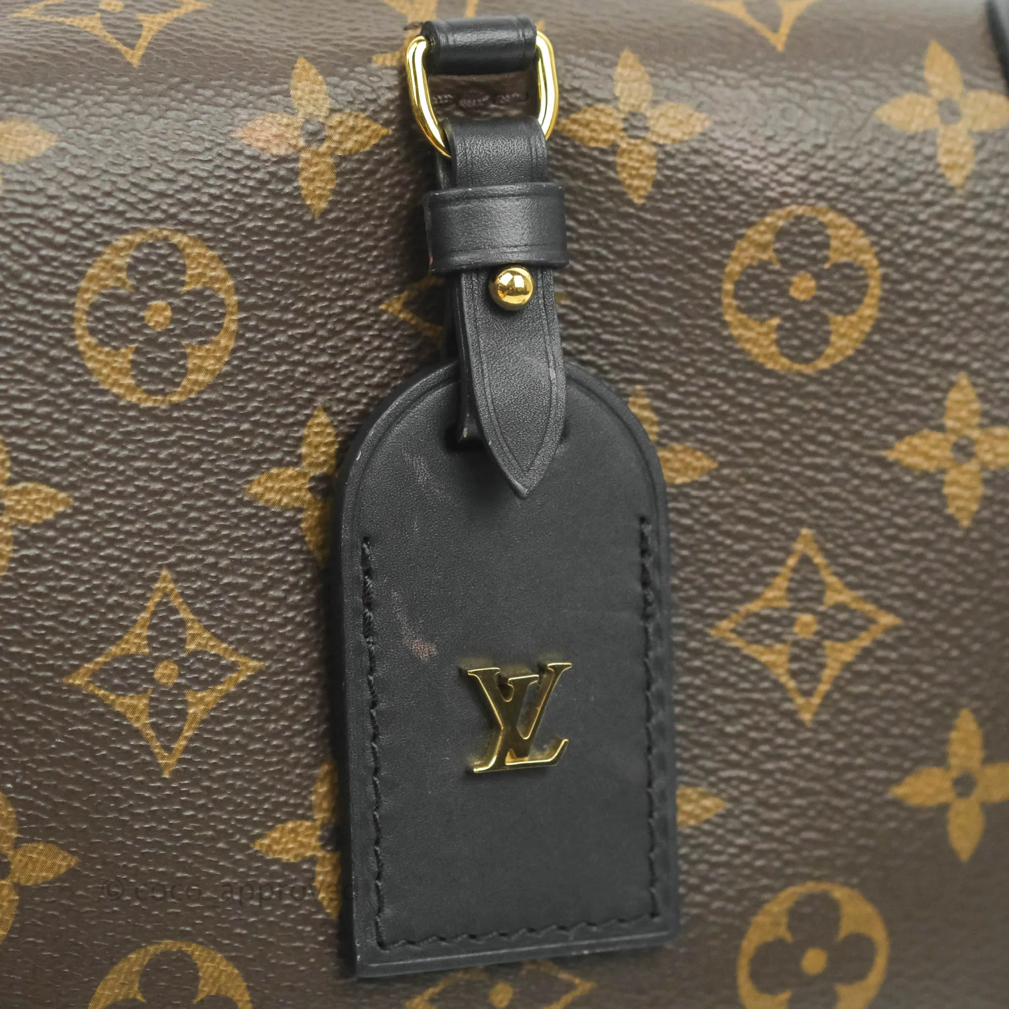 Louis Vuitton Petite Malle Souple Monogram Canvas