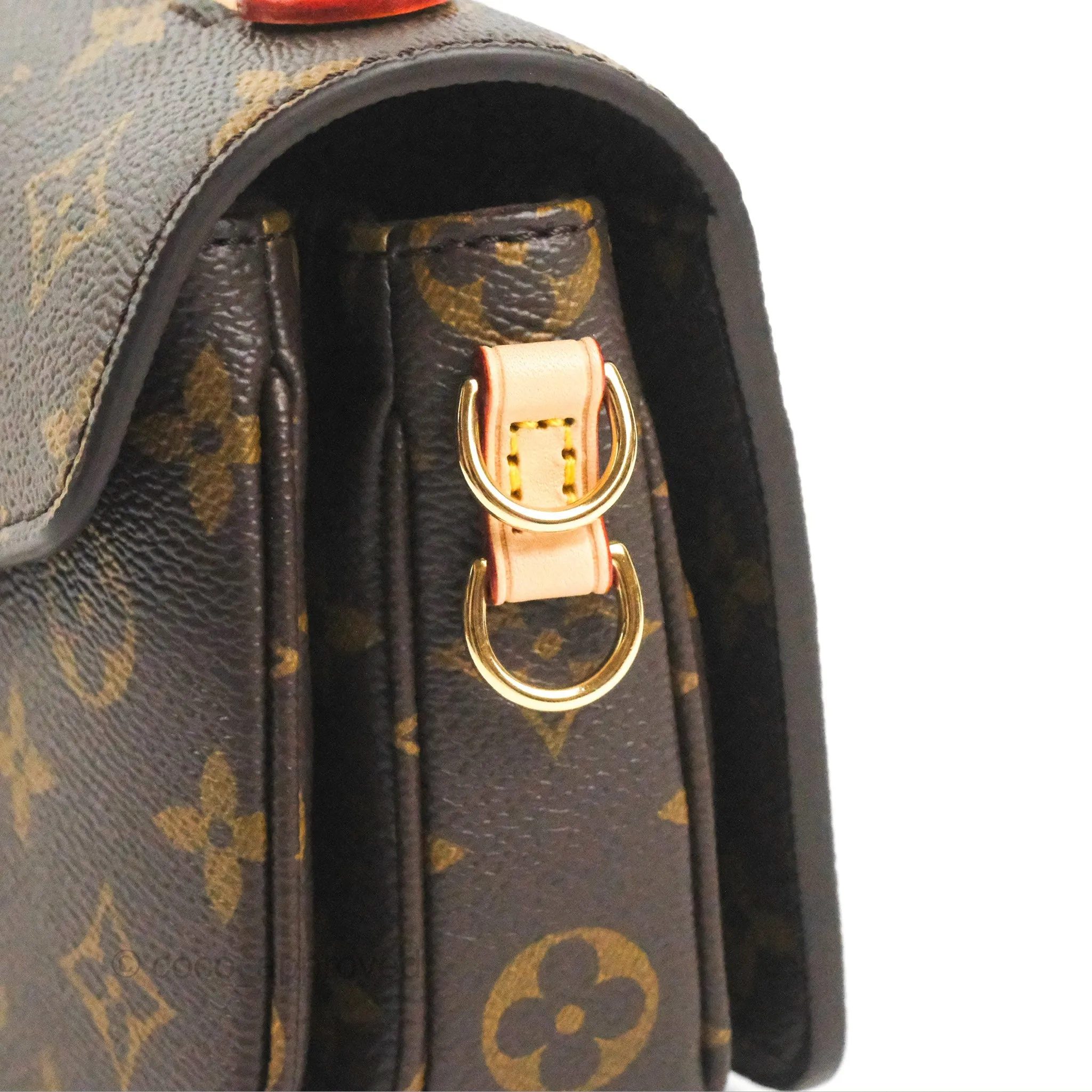Louis Vuitton Pochette Mtis East West Monogram Canvas