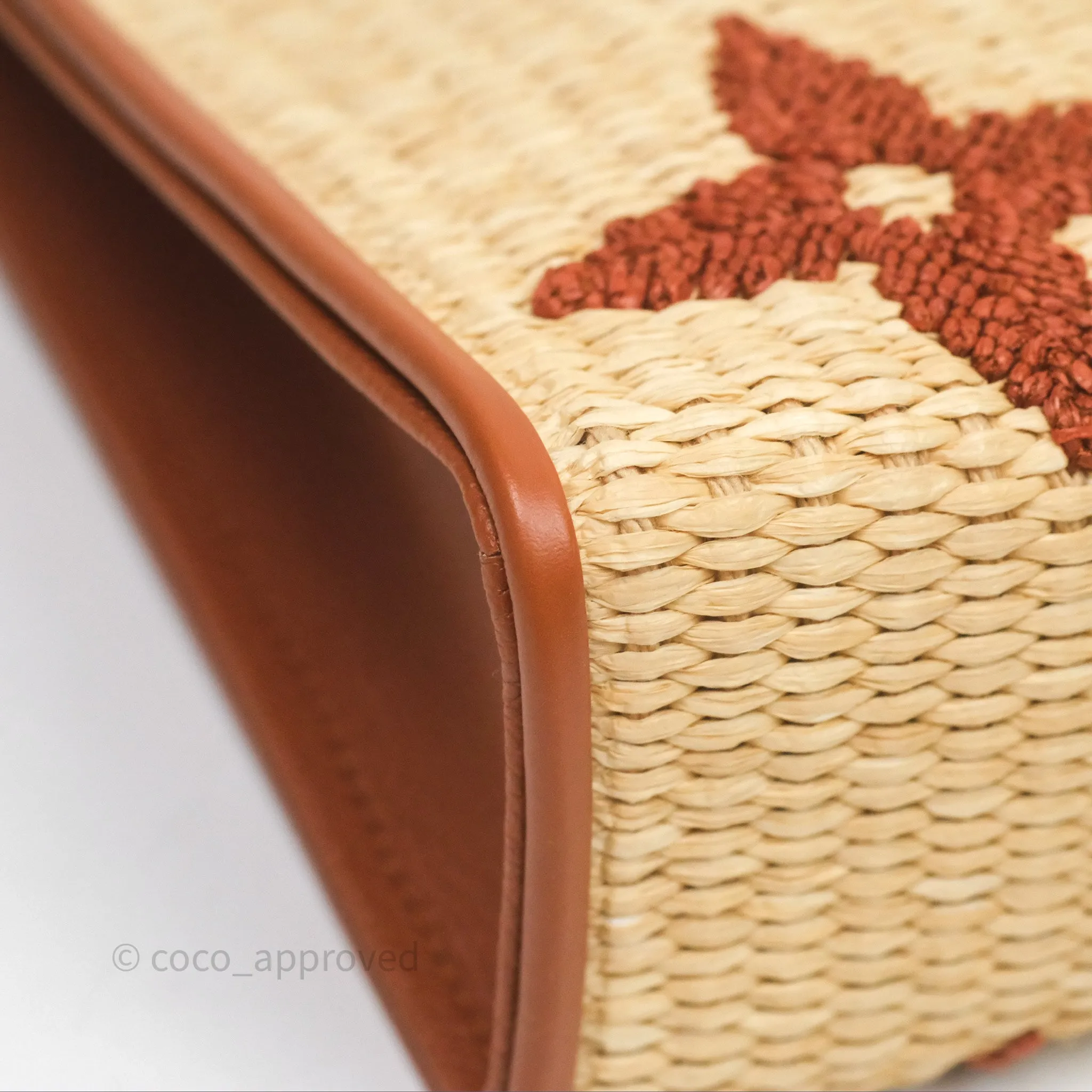 Louis Vuitton Raffia Monogram Giant Toiletry Pouch 26 Tan