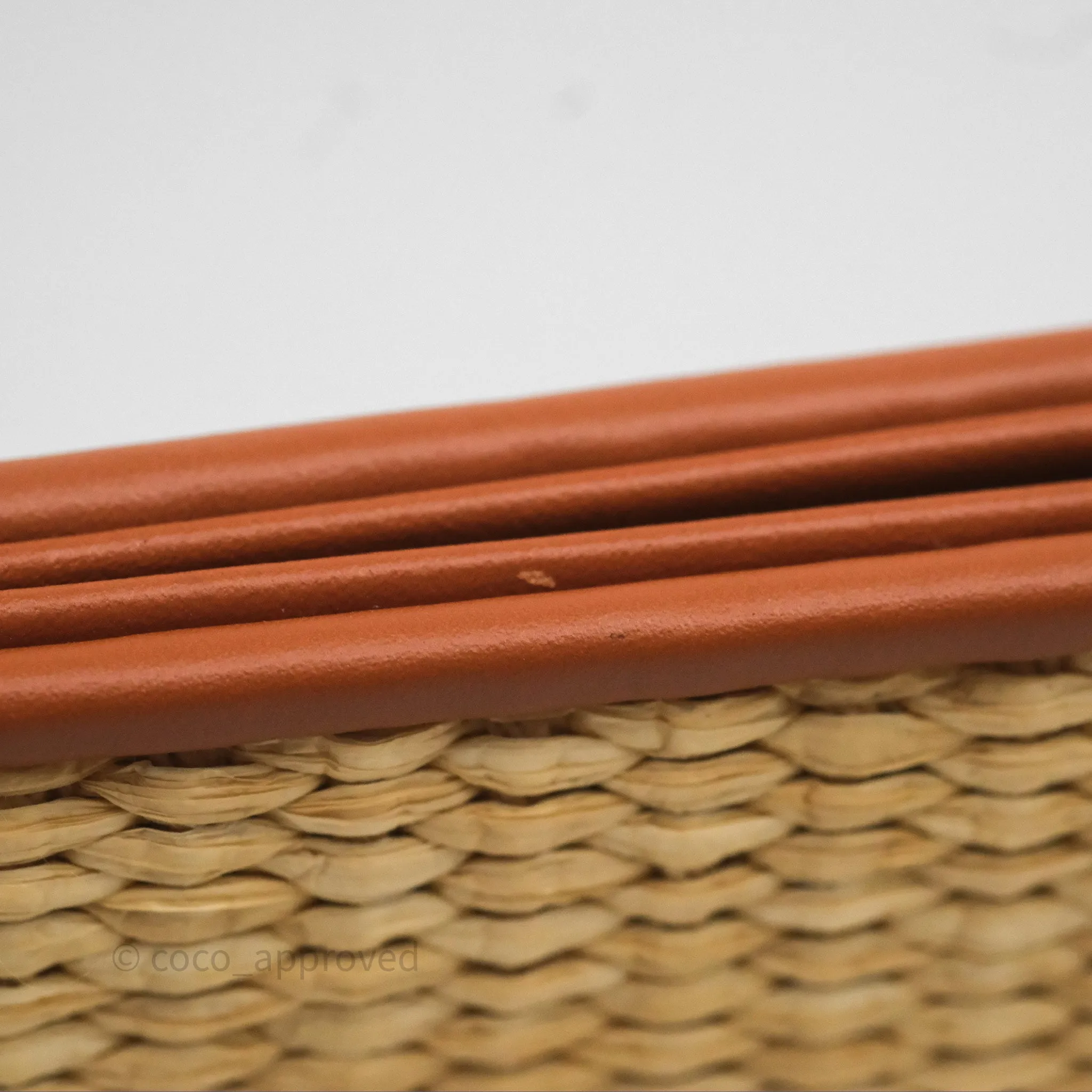 Louis Vuitton Raffia Monogram Giant Toiletry Pouch 26 Tan
