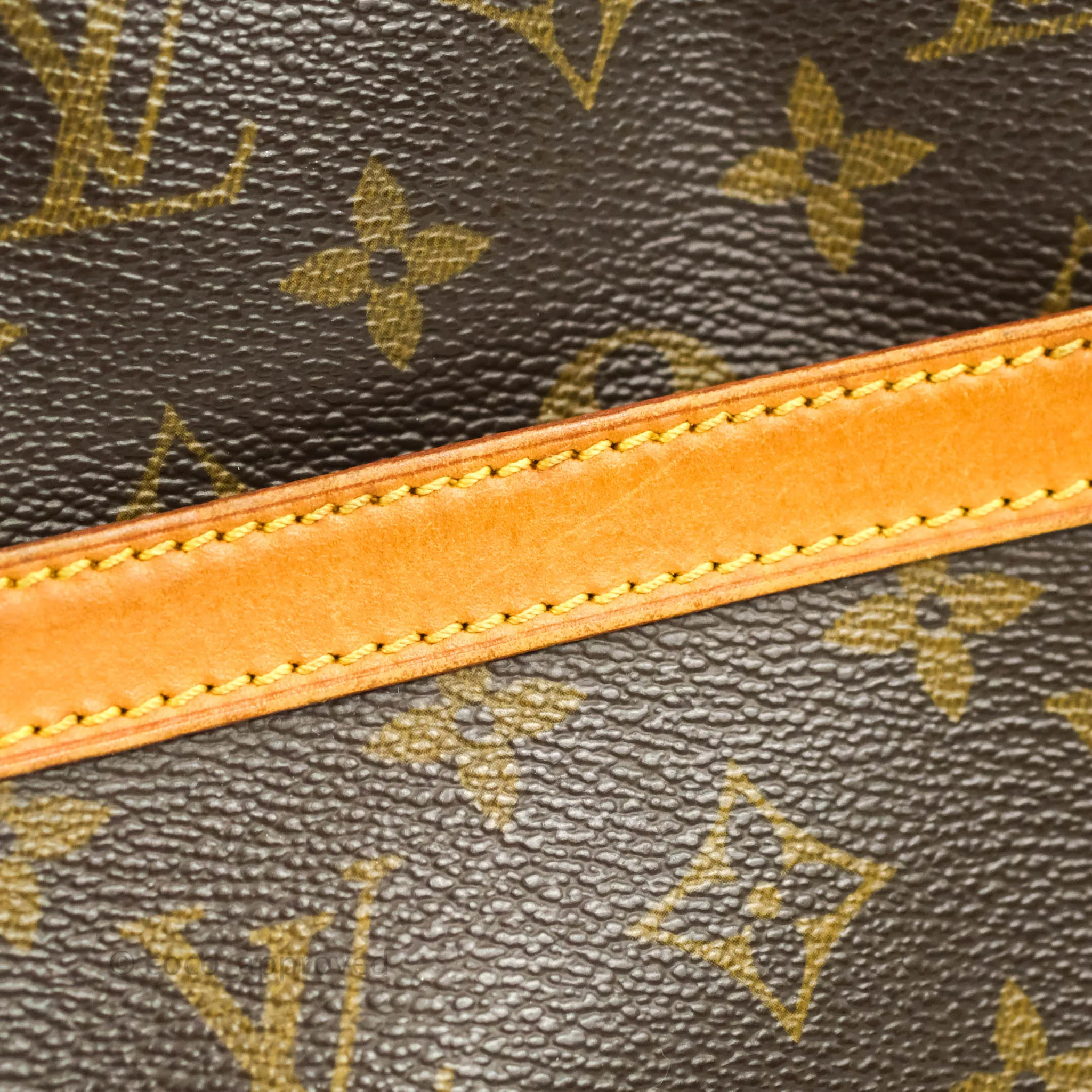 Louis Vuitton Reporter Shoulder Bag PM Monogram Canvas