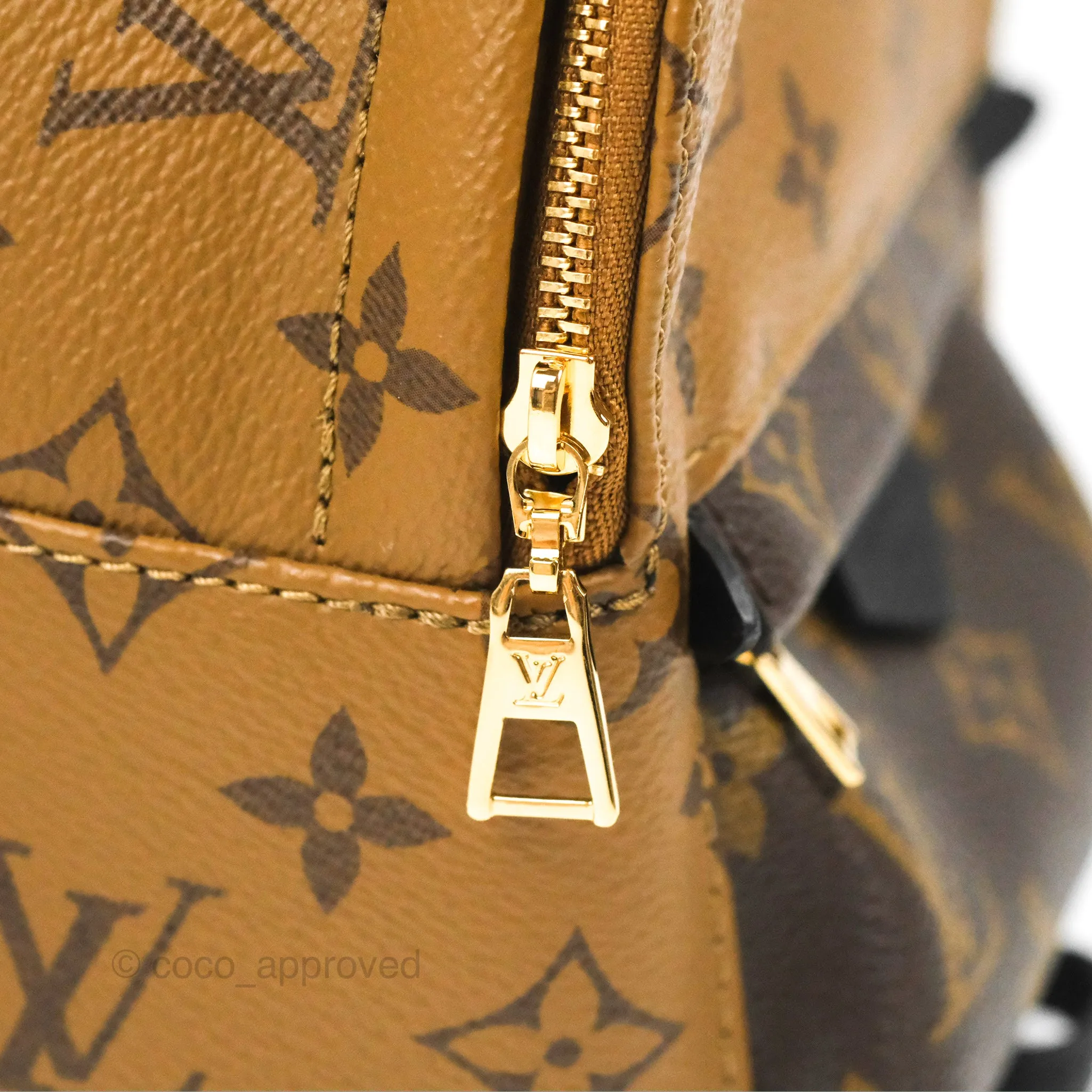 Louis Vuitton Reverse Mini Palm Springs Backpack