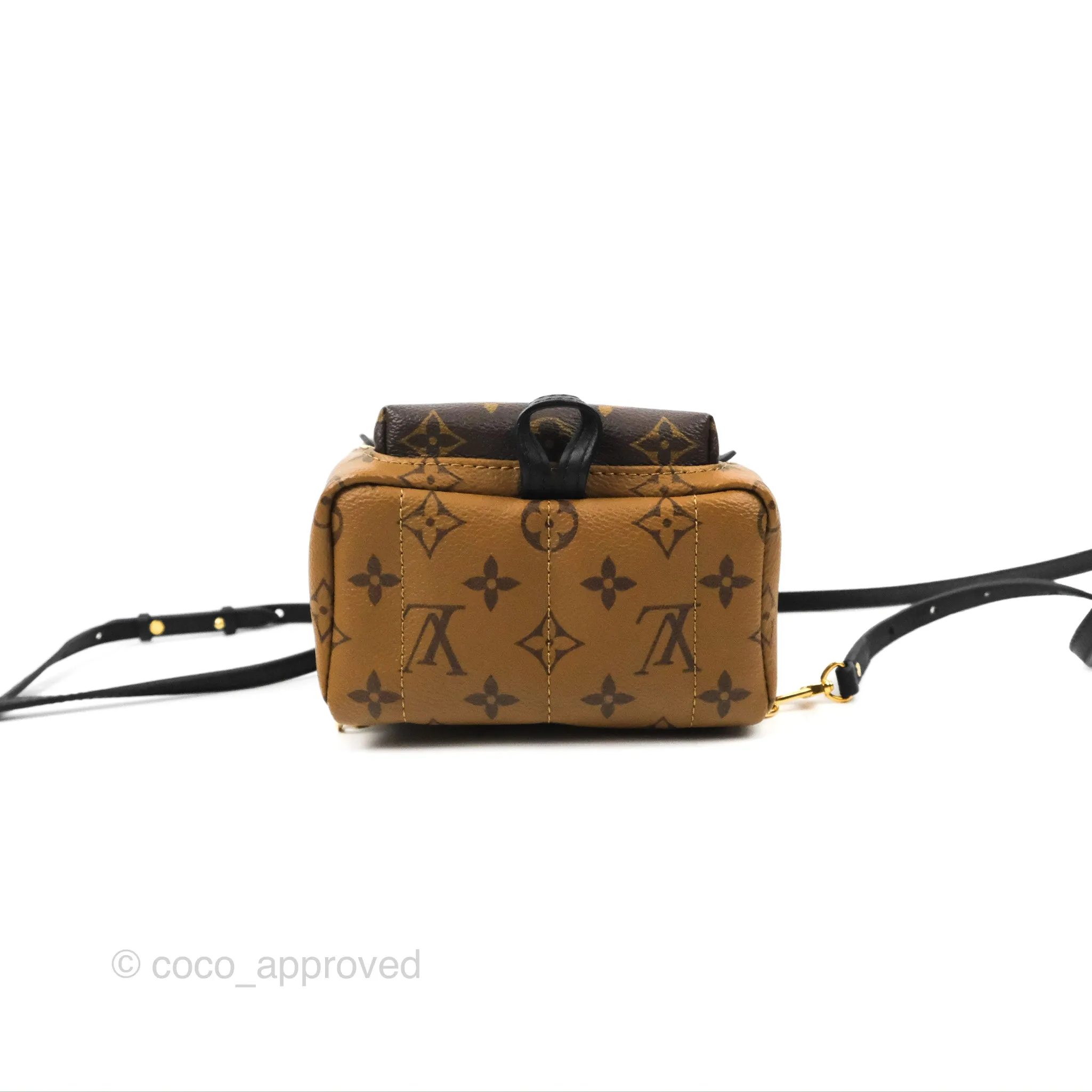 Louis Vuitton Reverse Mini Palm Springs Backpack