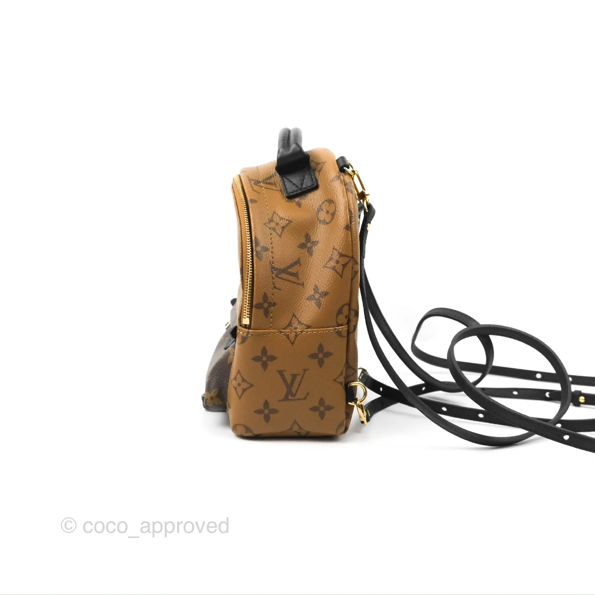 Louis Vuitton Reverse Mini Palm Springs Backpack