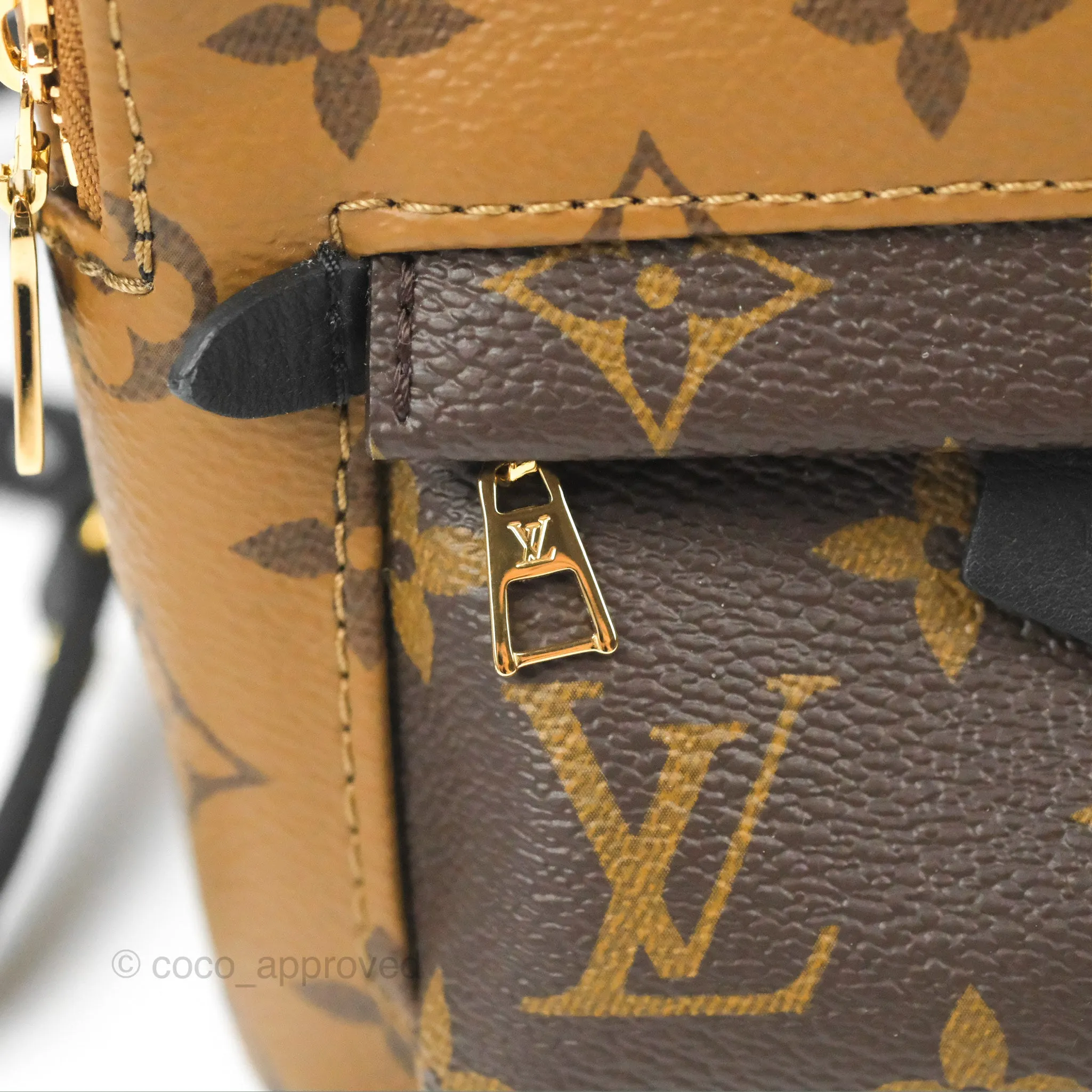 Louis Vuitton Reverse Mini Palm Springs Backpack