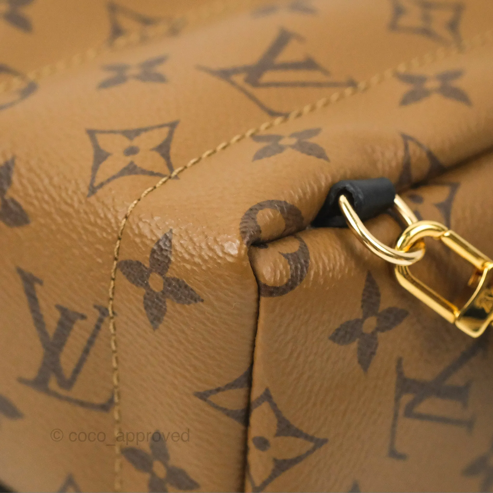 Louis Vuitton Reverse Mini Palm Springs Backpack
