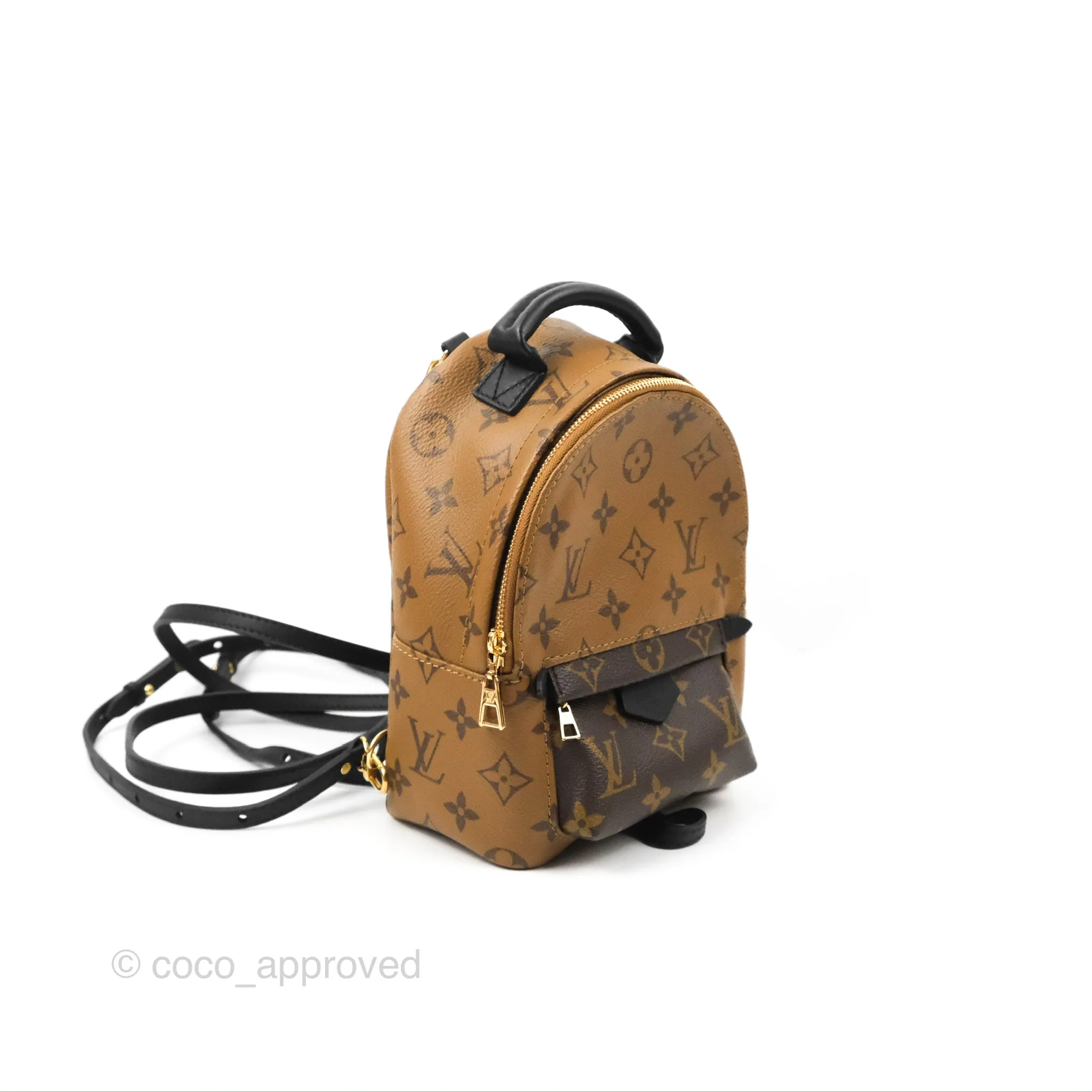 Louis Vuitton Reverse Mini Palm Springs Backpack