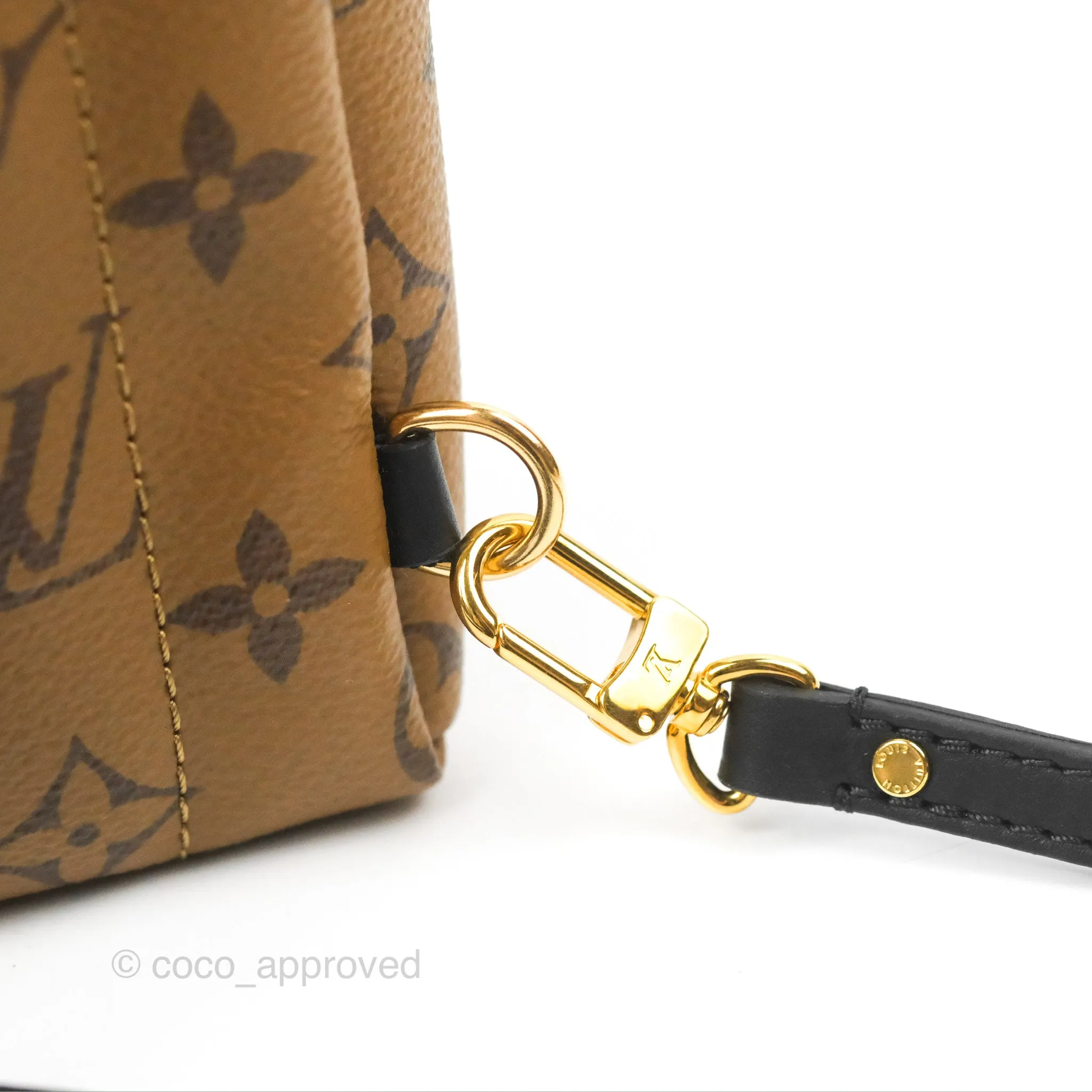 Louis Vuitton Reverse Mini Palm Springs Backpack