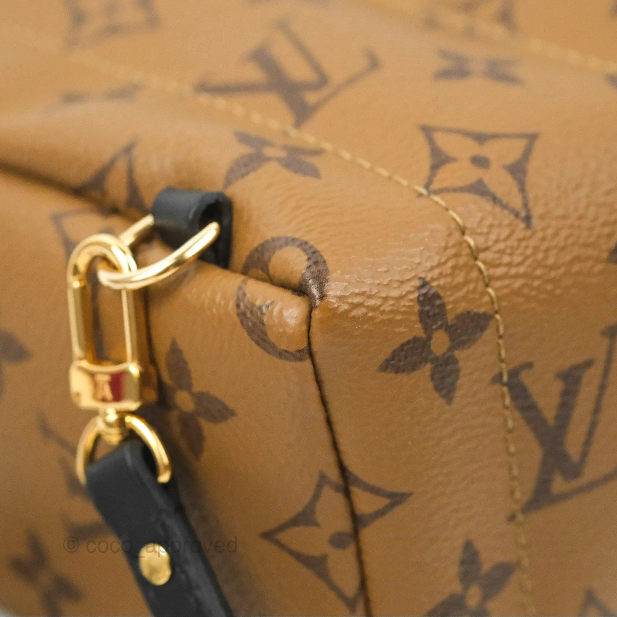 Louis Vuitton Reverse Mini Palm Springs Backpack