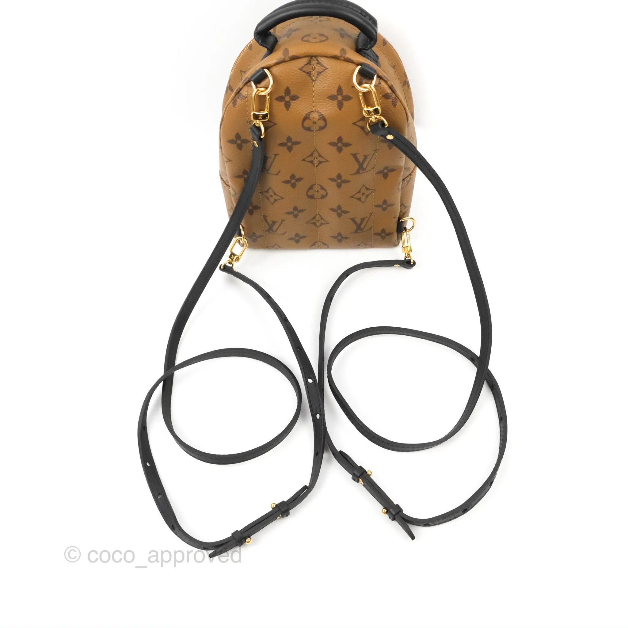 Louis Vuitton Reverse Mini Palm Springs Backpack