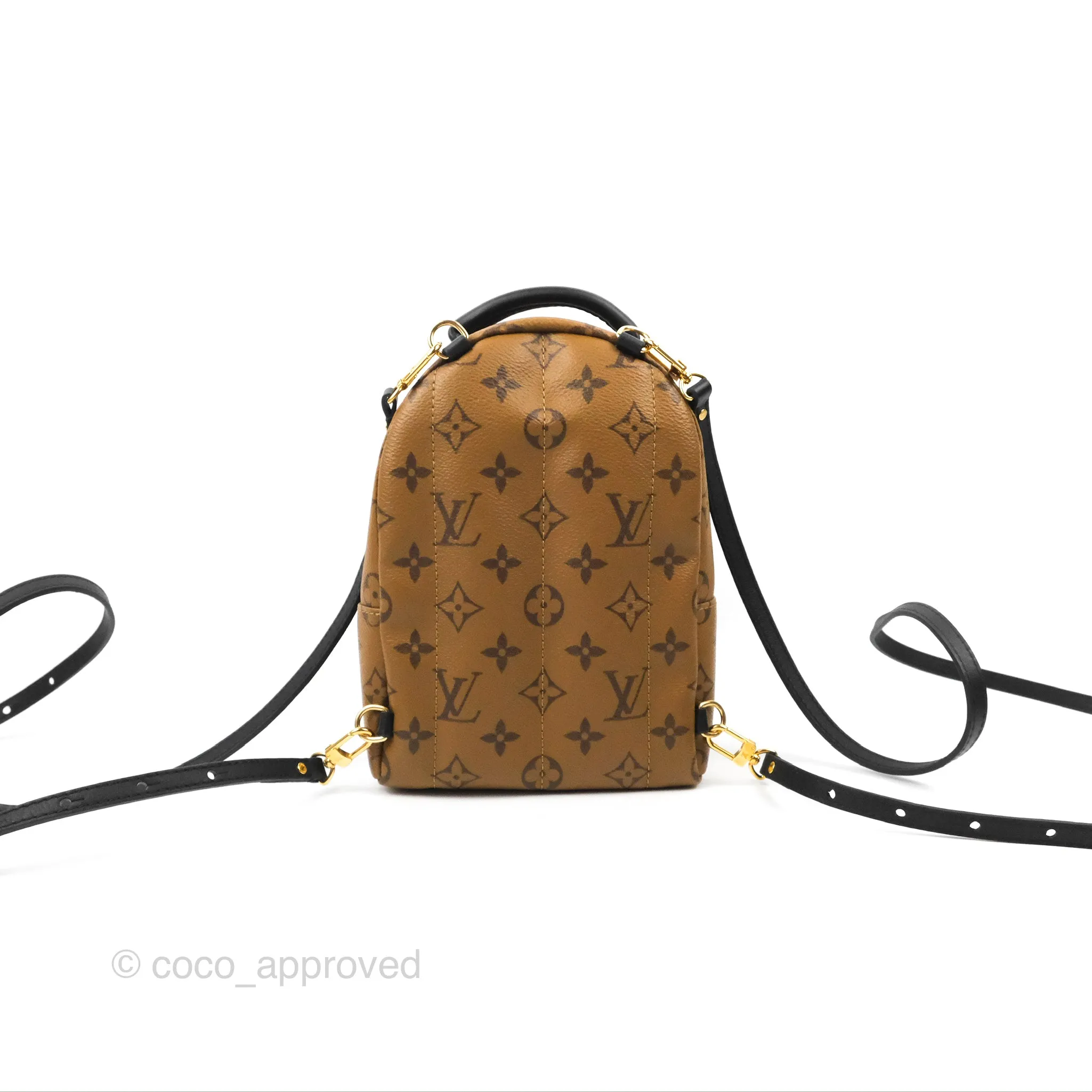 Louis Vuitton Reverse Mini Palm Springs Backpack