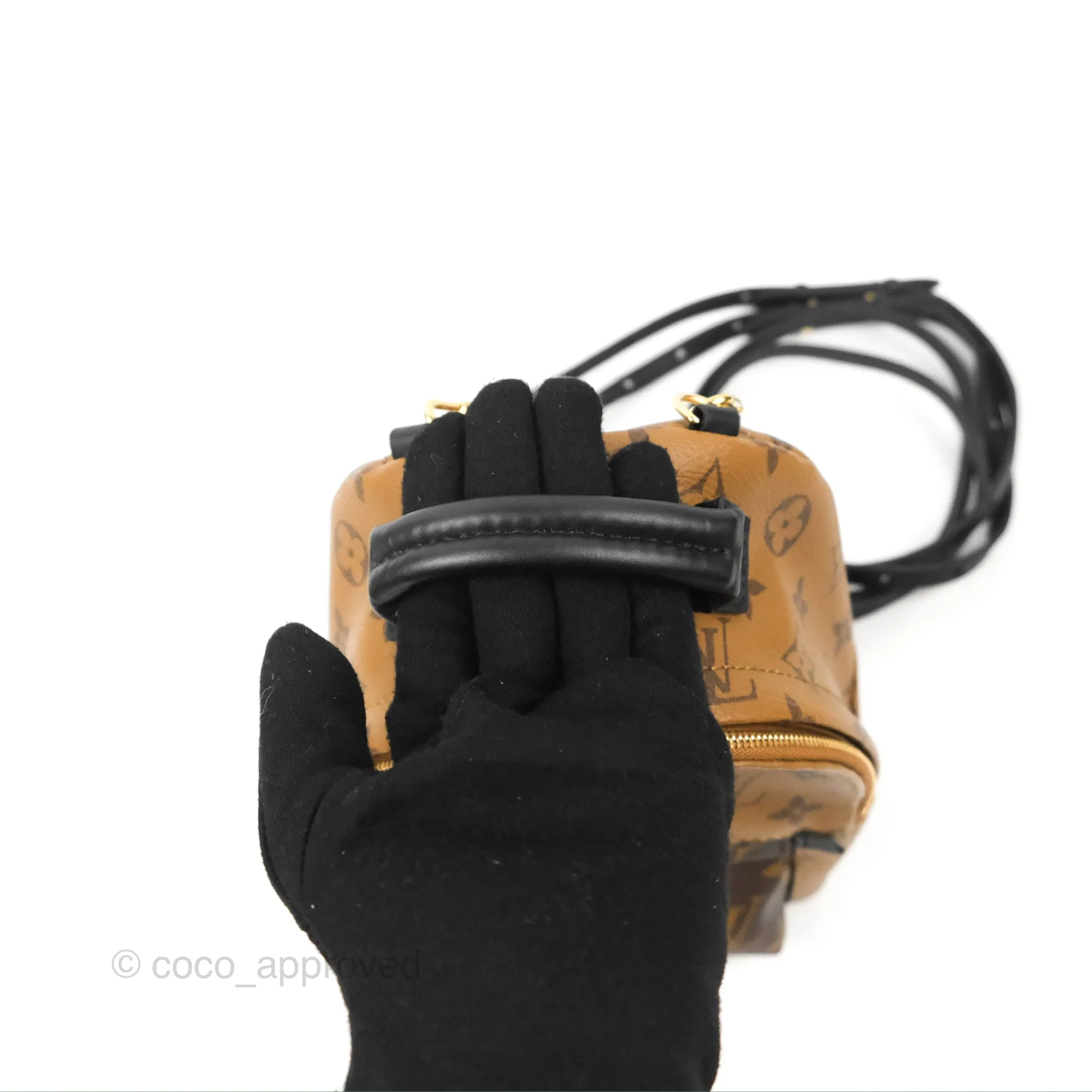 Louis Vuitton Reverse Mini Palm Springs Backpack