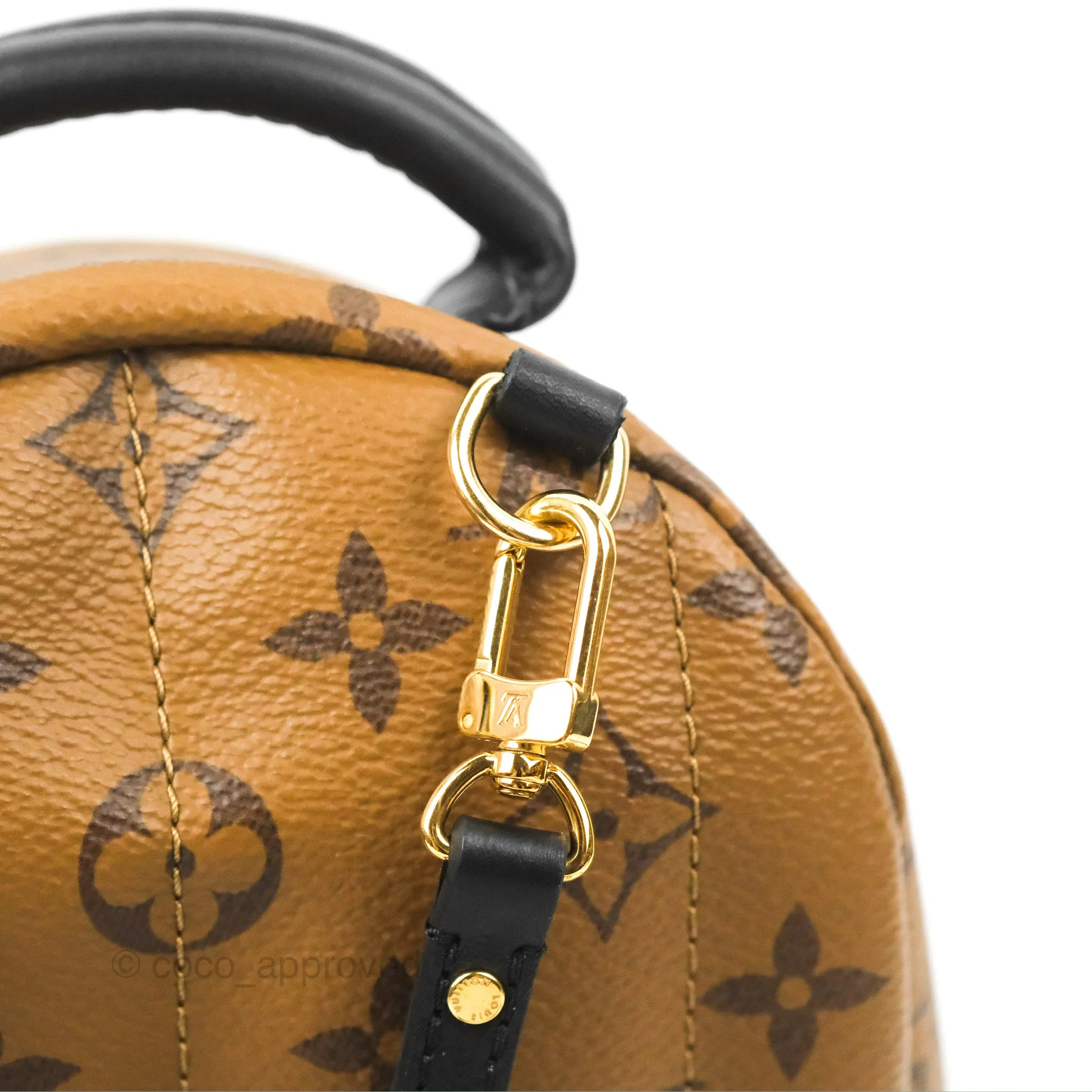 Louis Vuitton Reverse Mini Palm Springs Backpack