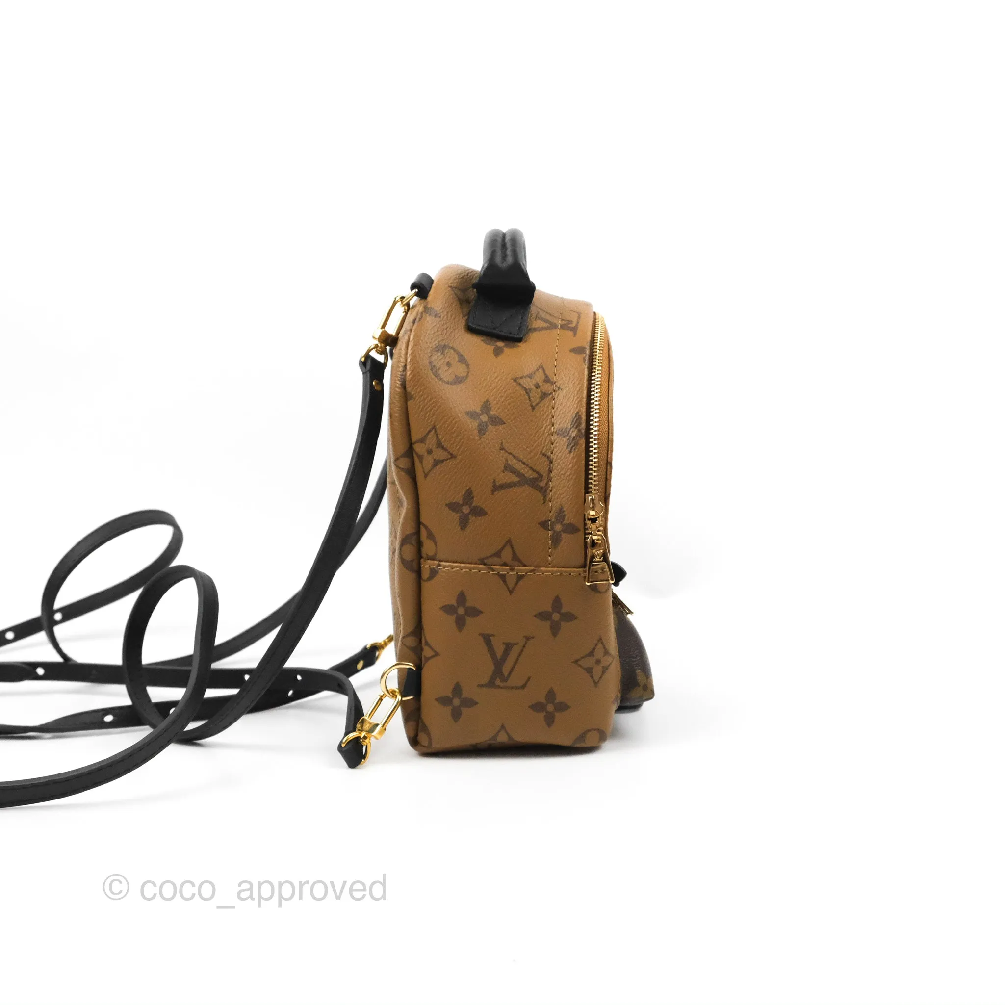Louis Vuitton Reverse Mini Palm Springs Backpack