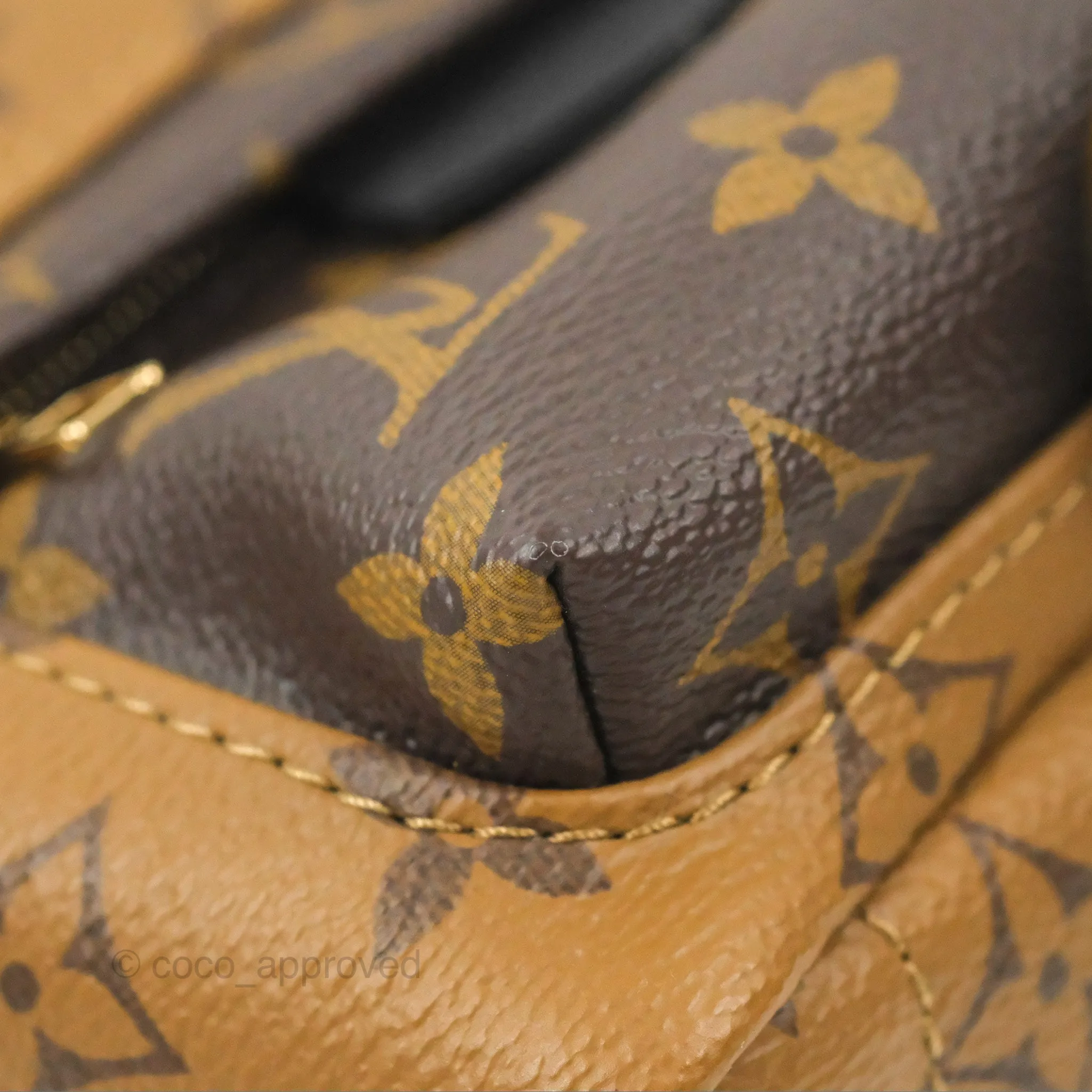 Louis Vuitton Reverse Mini Palm Springs Backpack